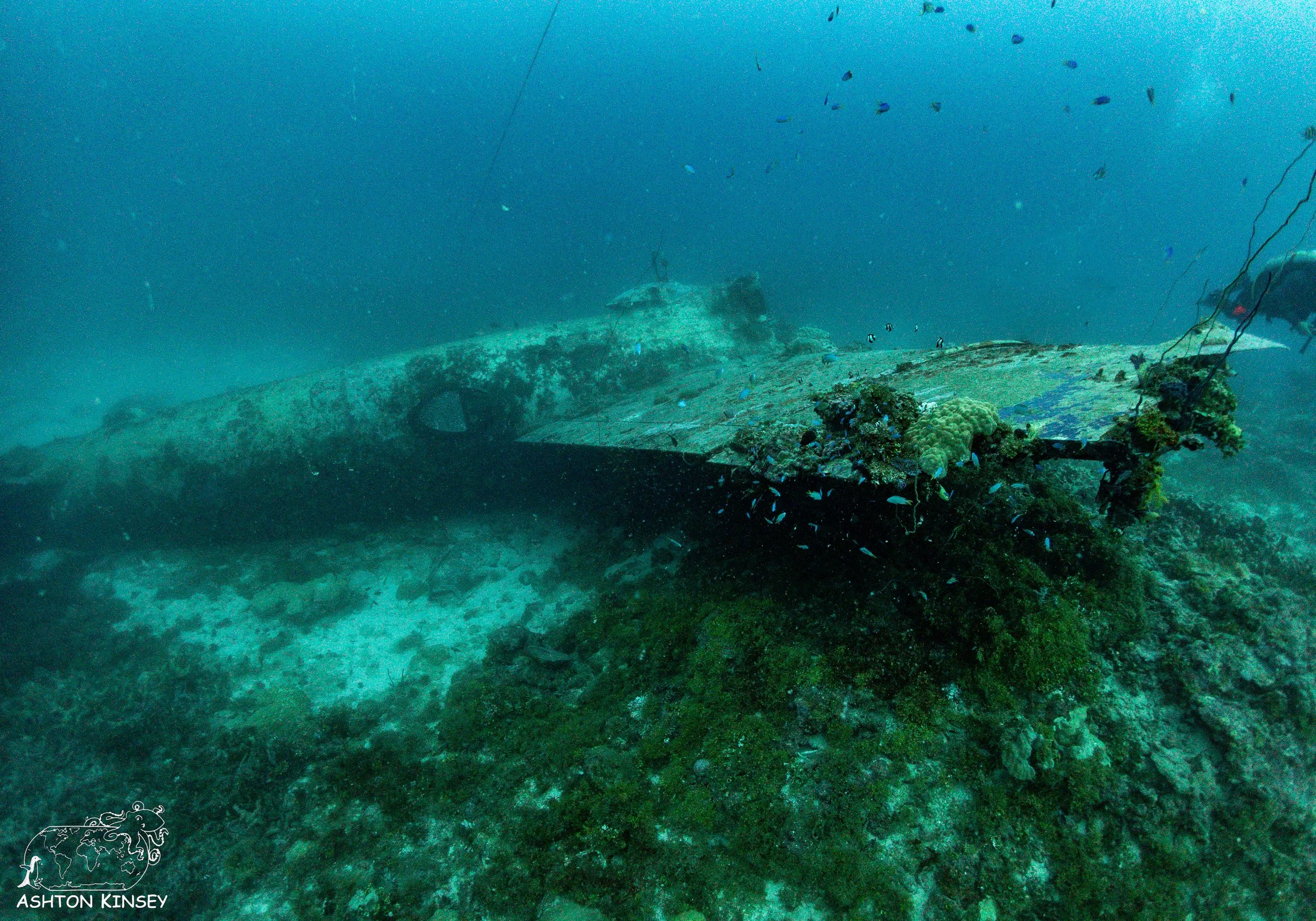 Betty Bomber-27.jpg