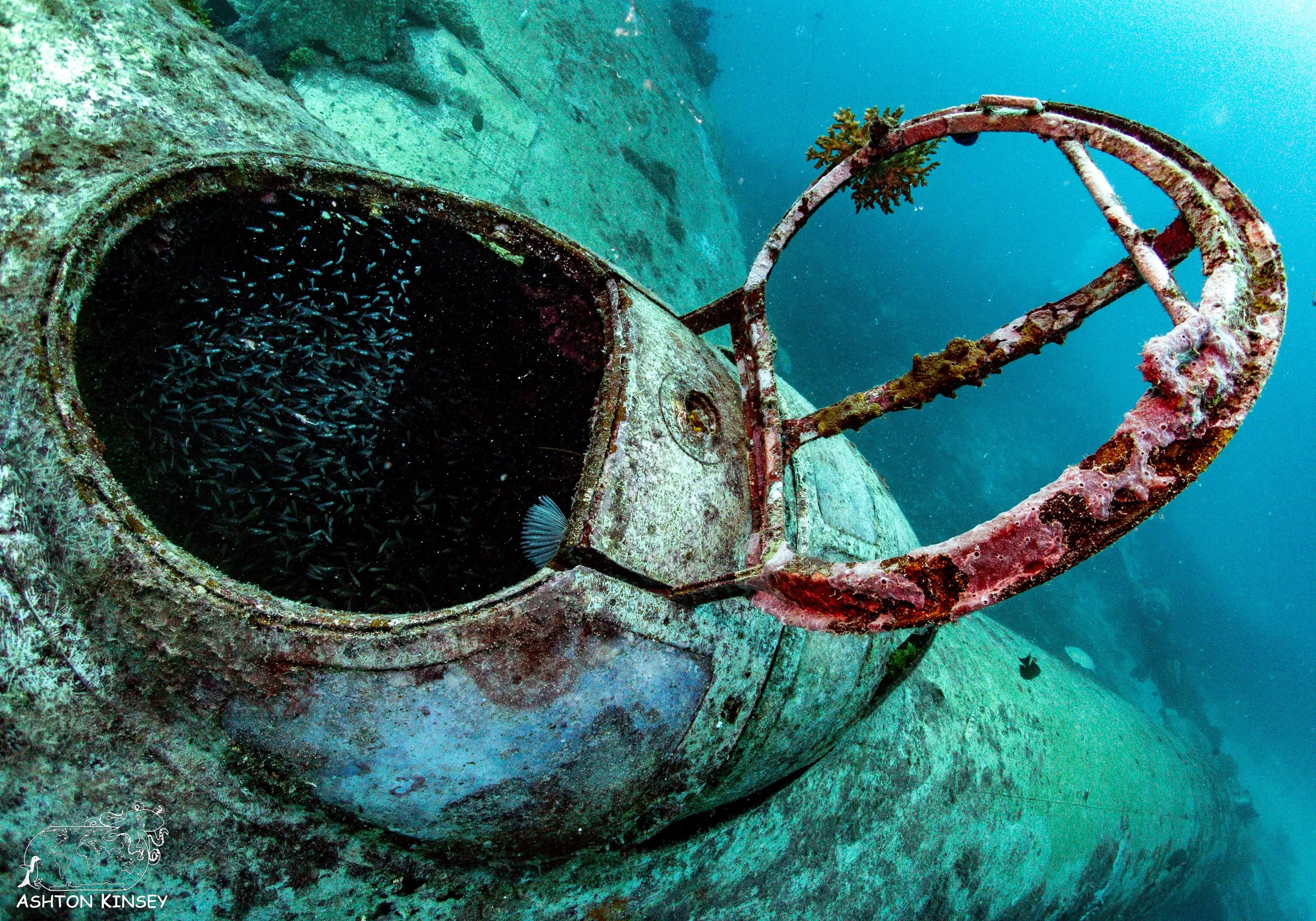 Betty Bomber-30.jpg