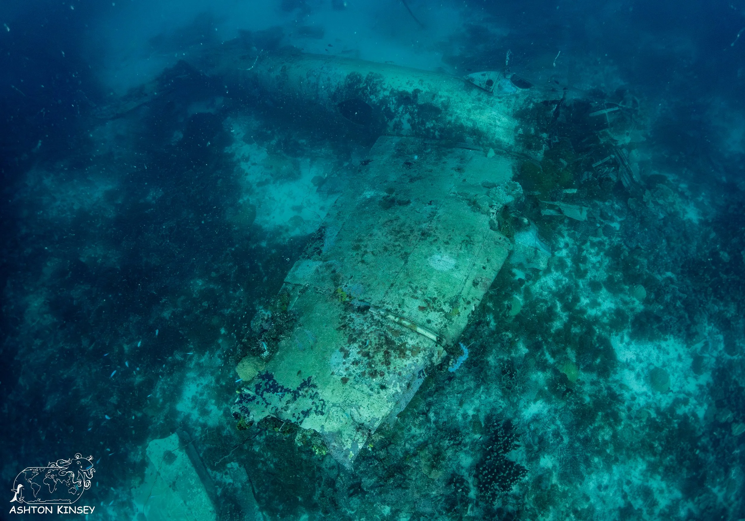 Betty Bomber-33.jpg