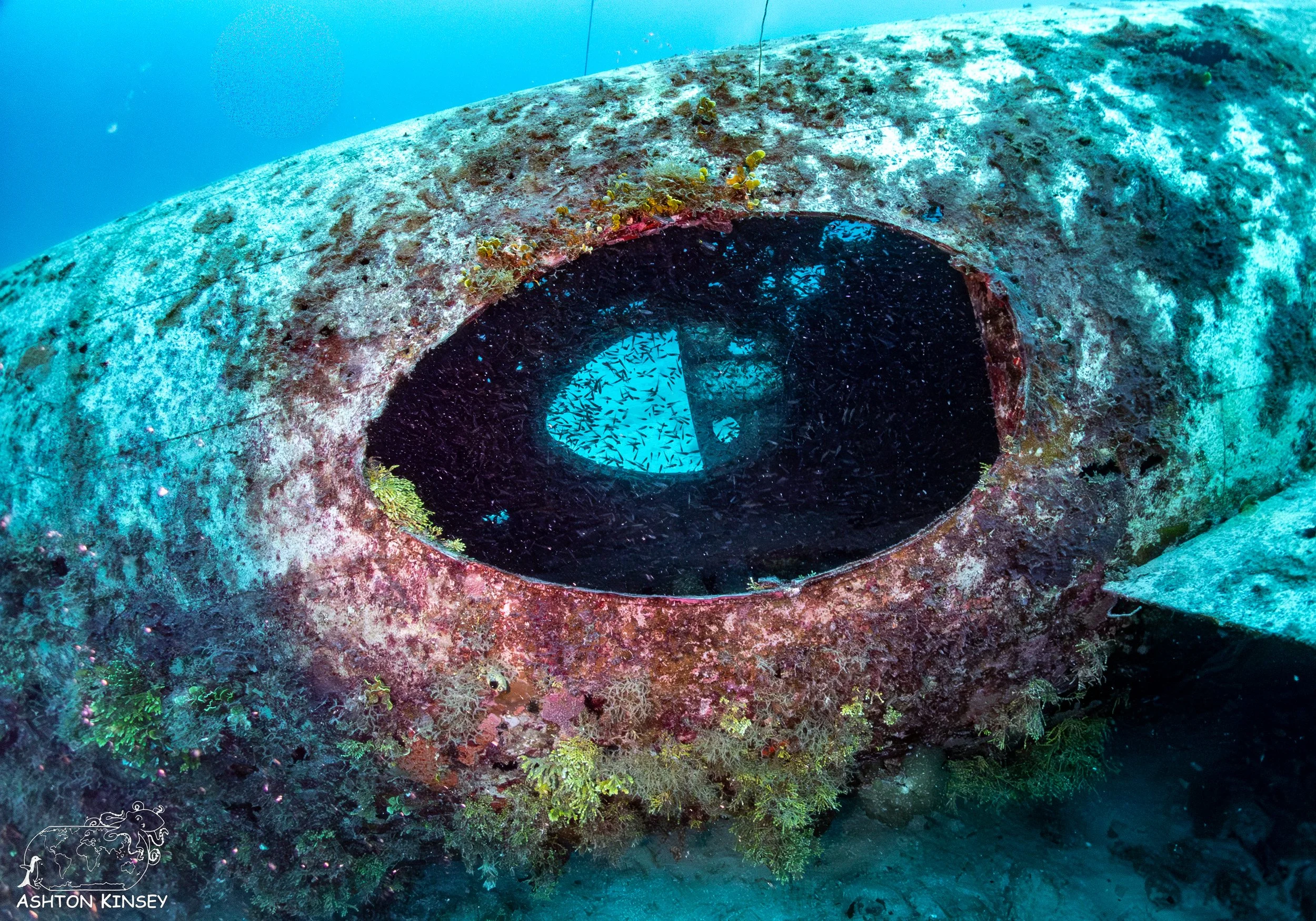 Betty Bomber-38.jpg