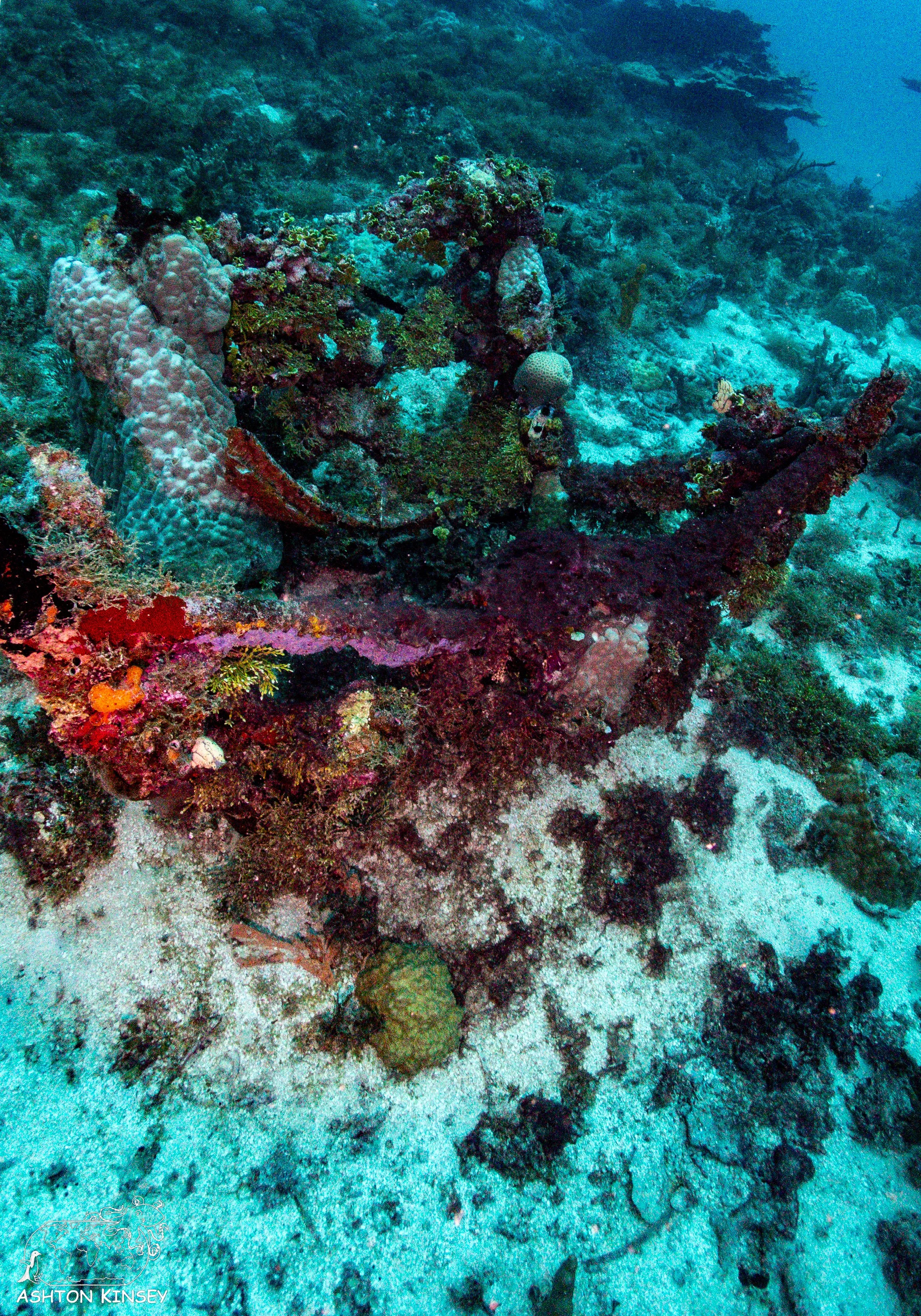 Betty Bomber-42.jpg