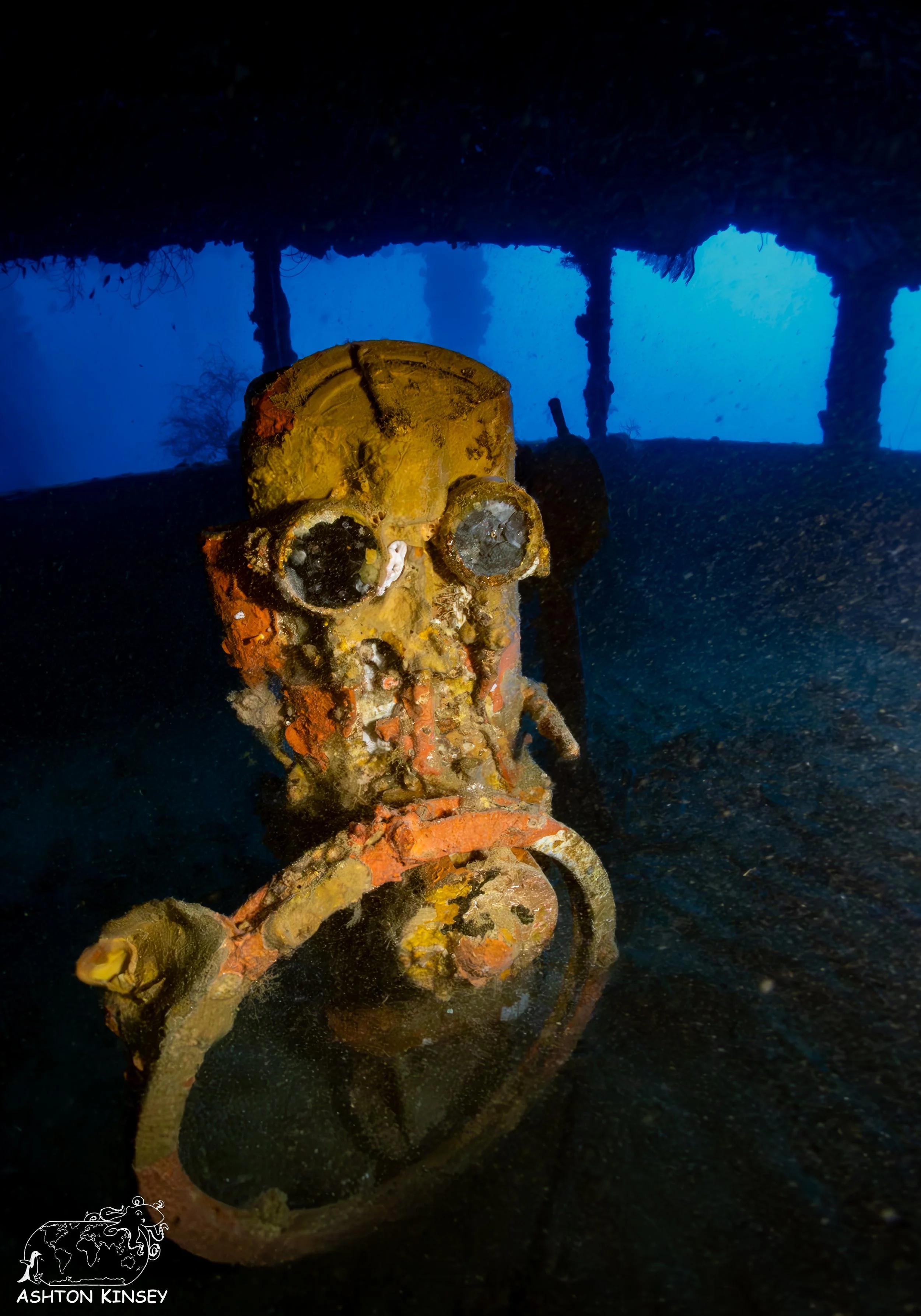 Nippo Maru-25.jpg
