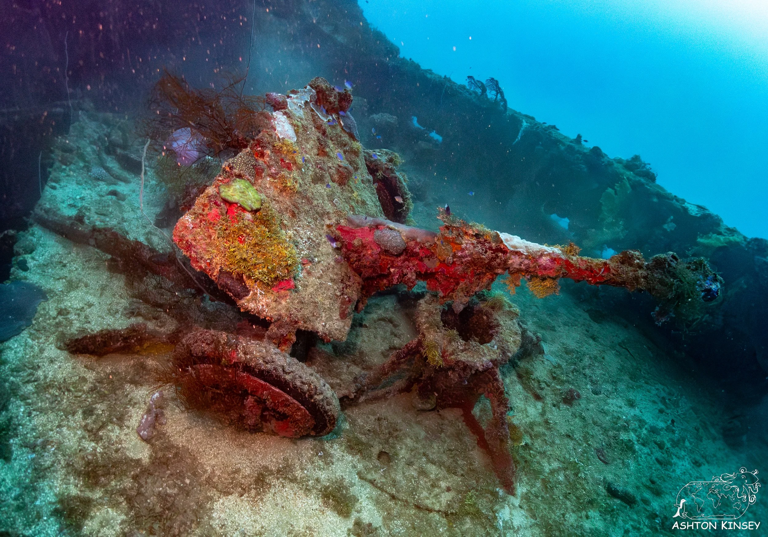 Nippo Maru-28.jpg