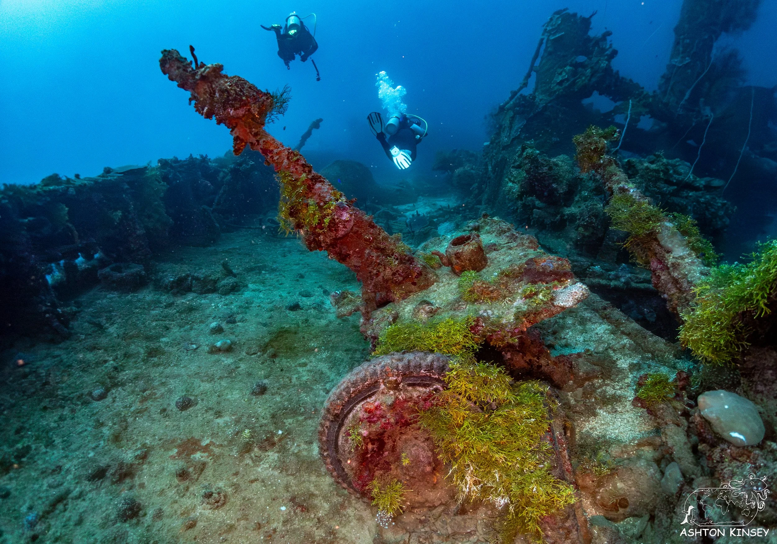 Nippo Maru-29.jpg