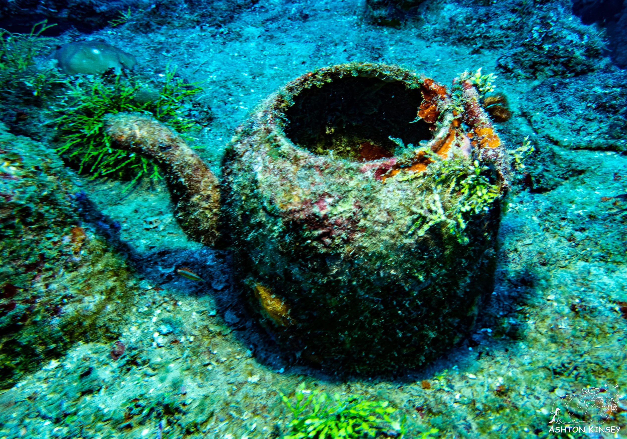 Nippo Maru-31.jpg