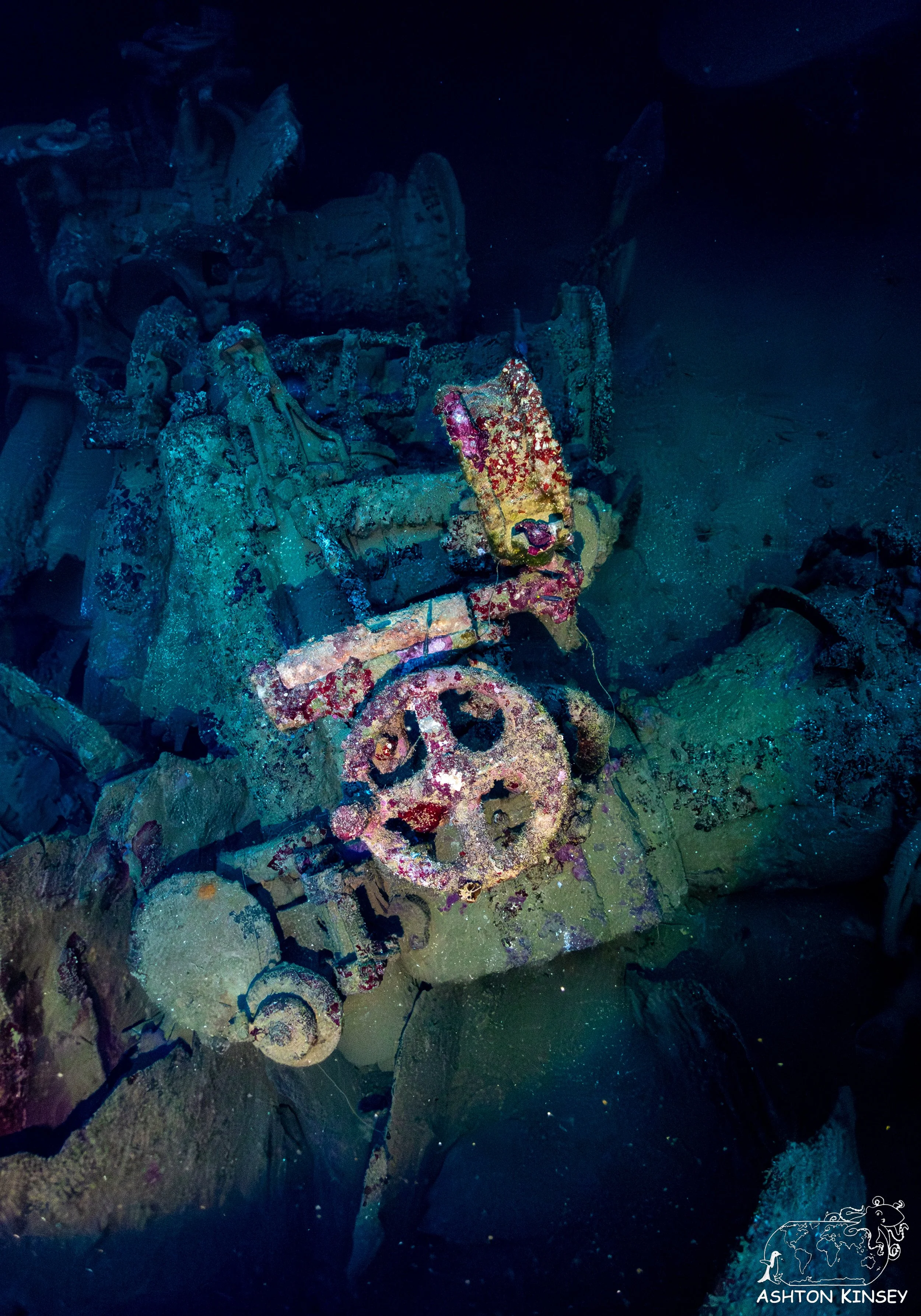 Nippo Maru-32.jpg