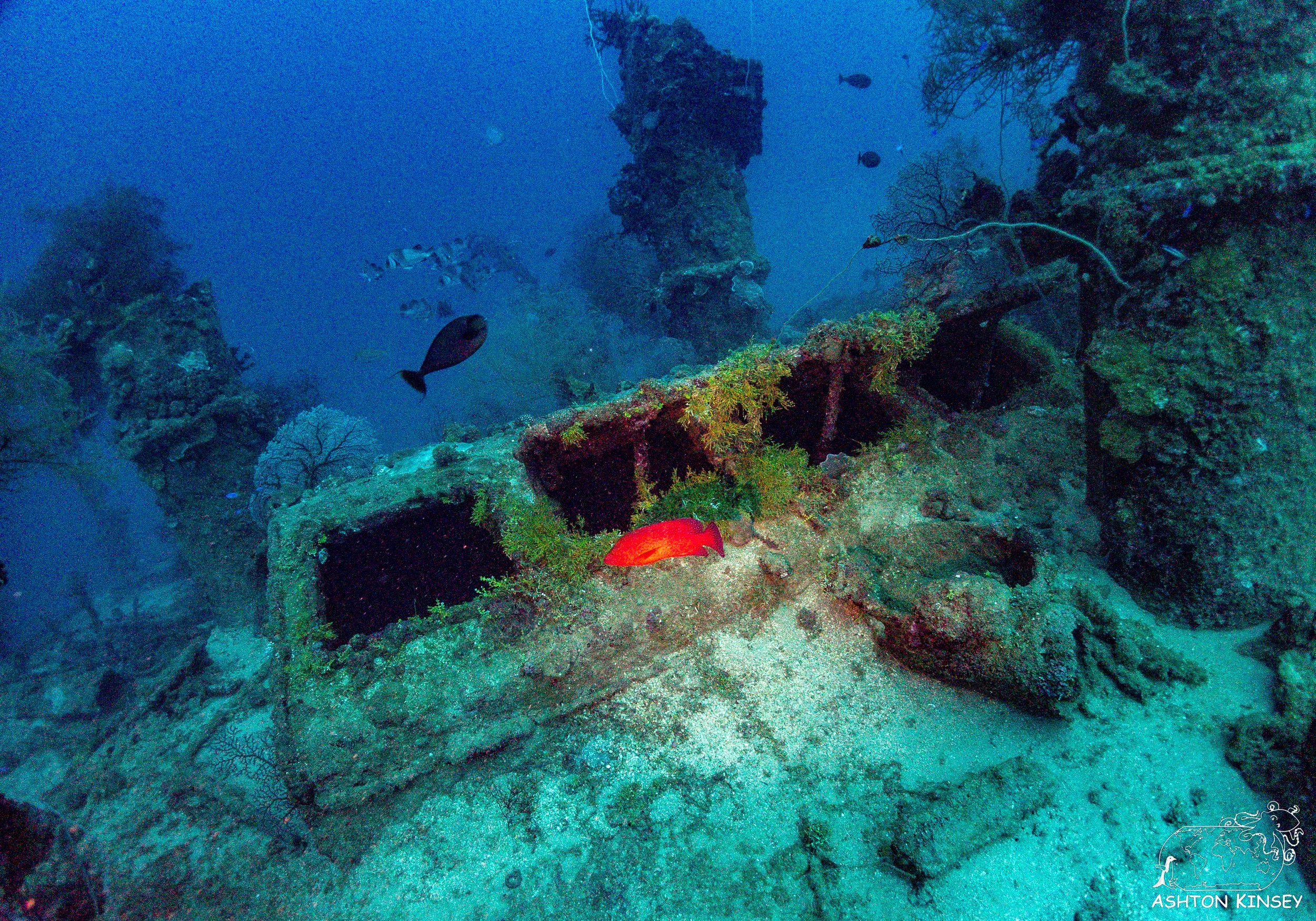 Nippo Maru-34.jpg