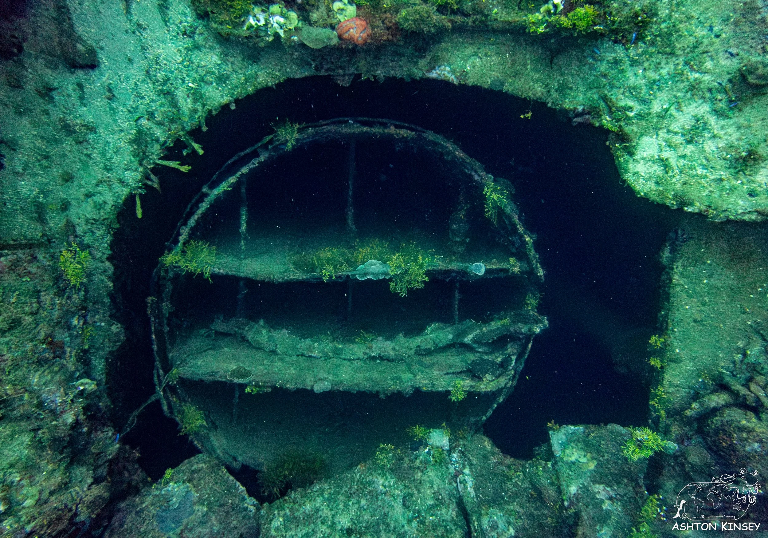 Nippo Maru-35.jpg