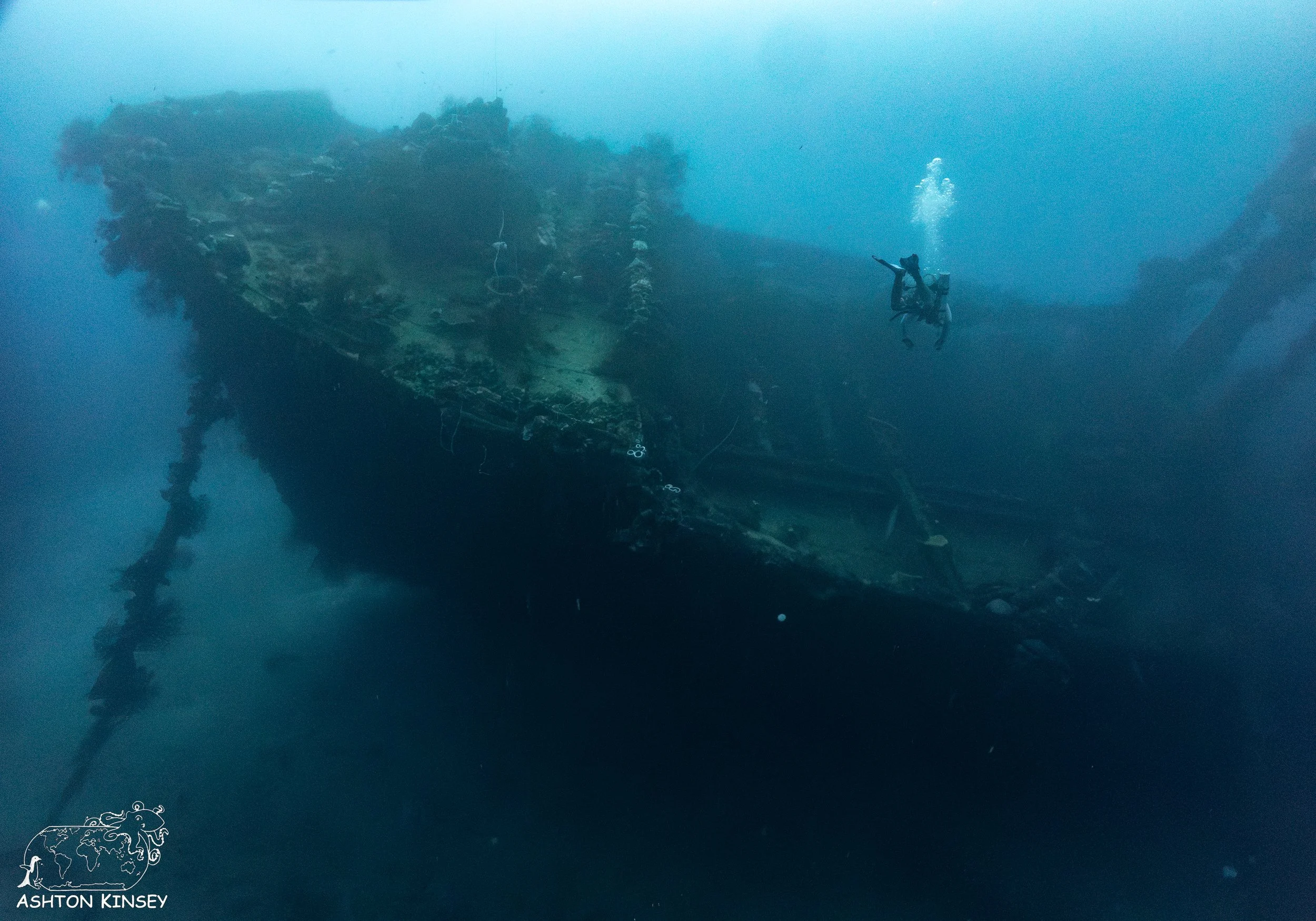 Nippo Maru.jpg