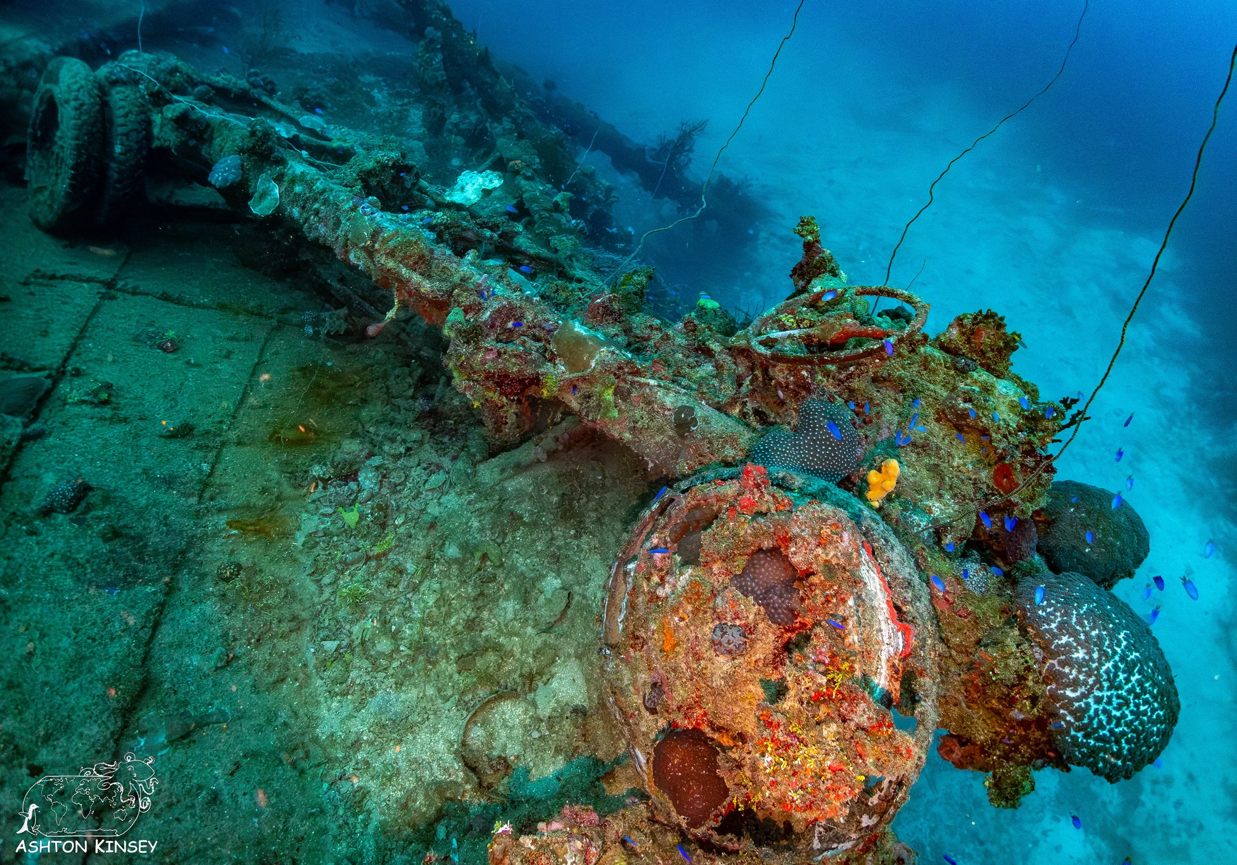 Nippo Maru-3.jpg