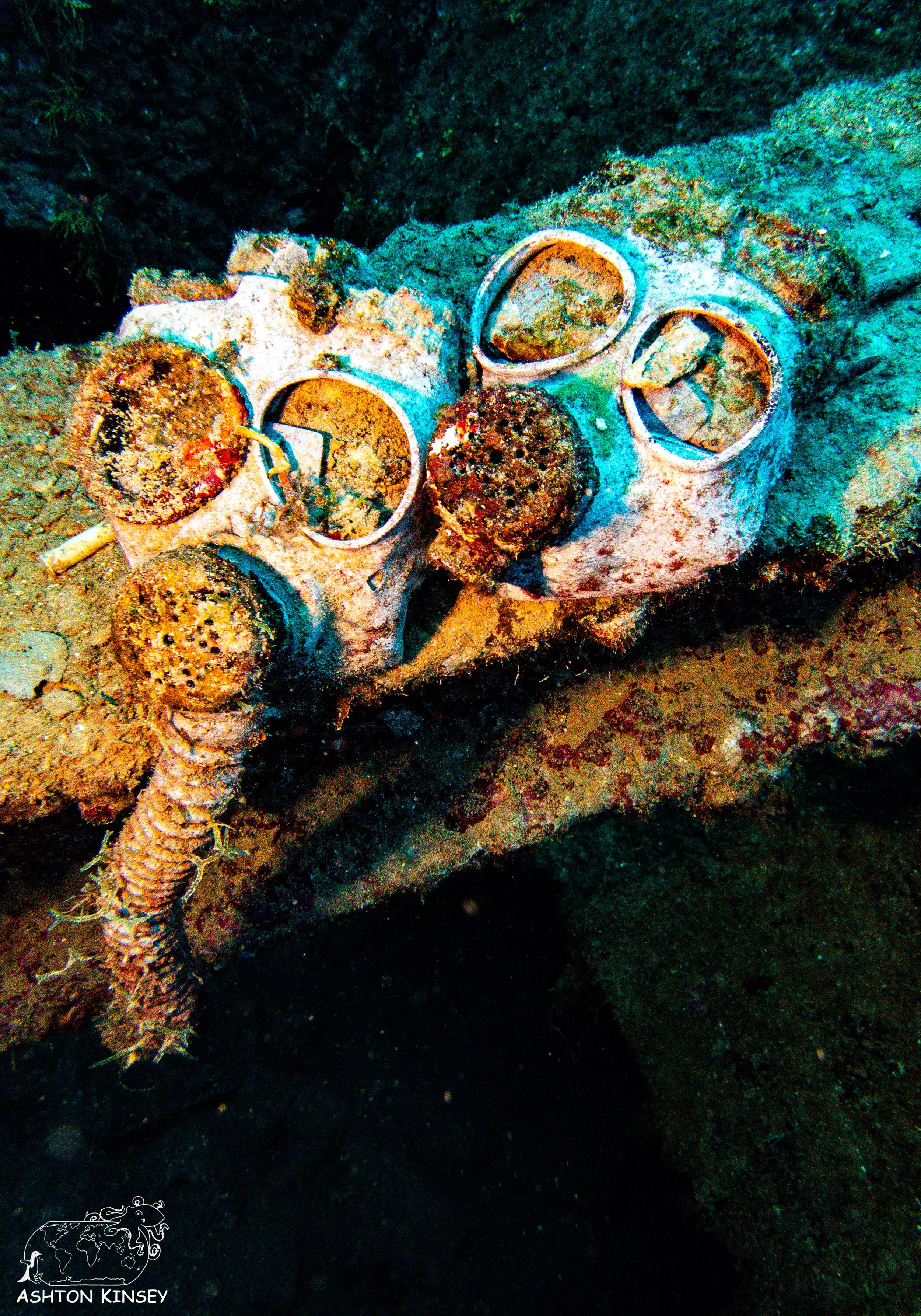 Nippo Maru-5.jpg