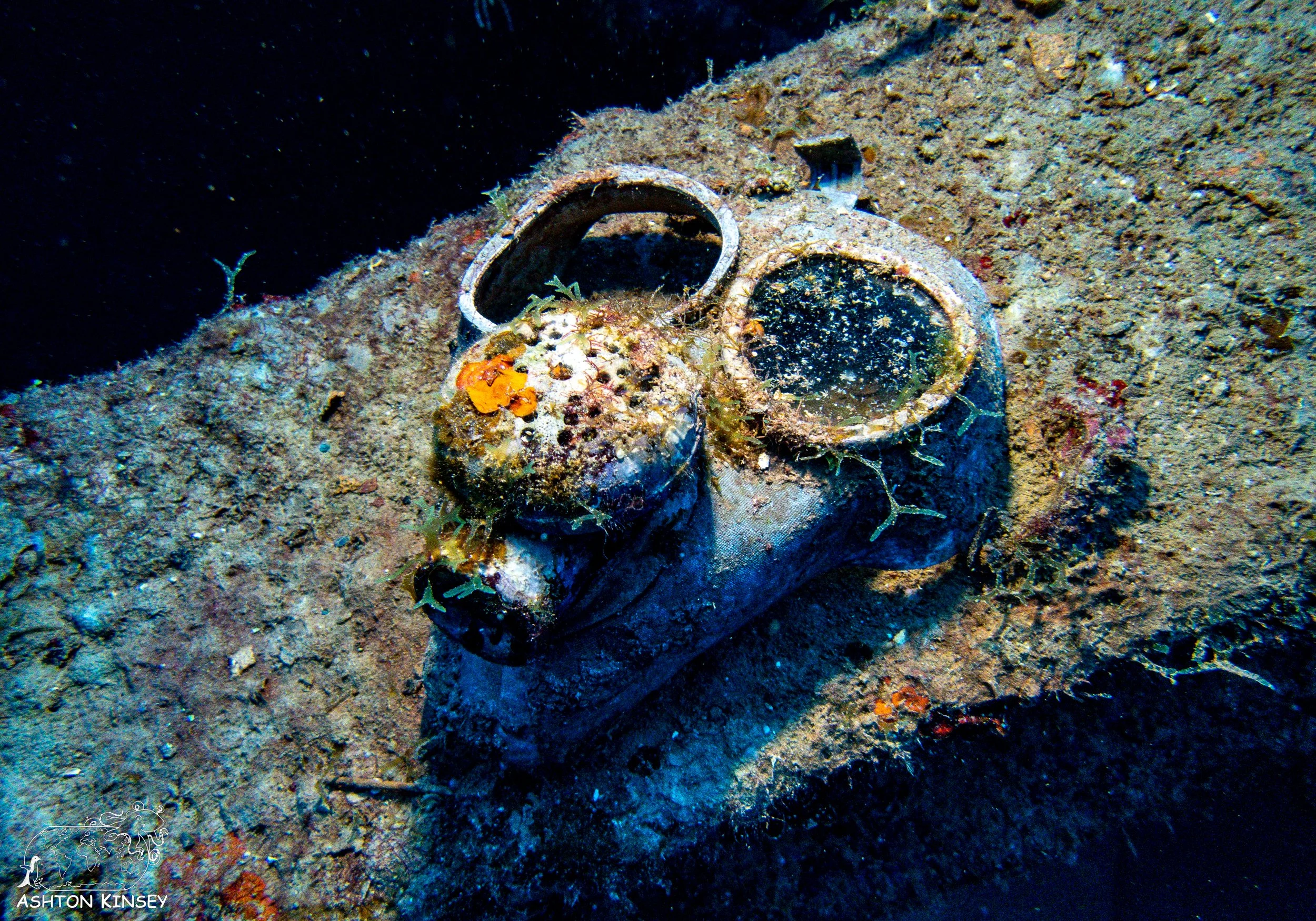 Nippo Maru-9.jpg