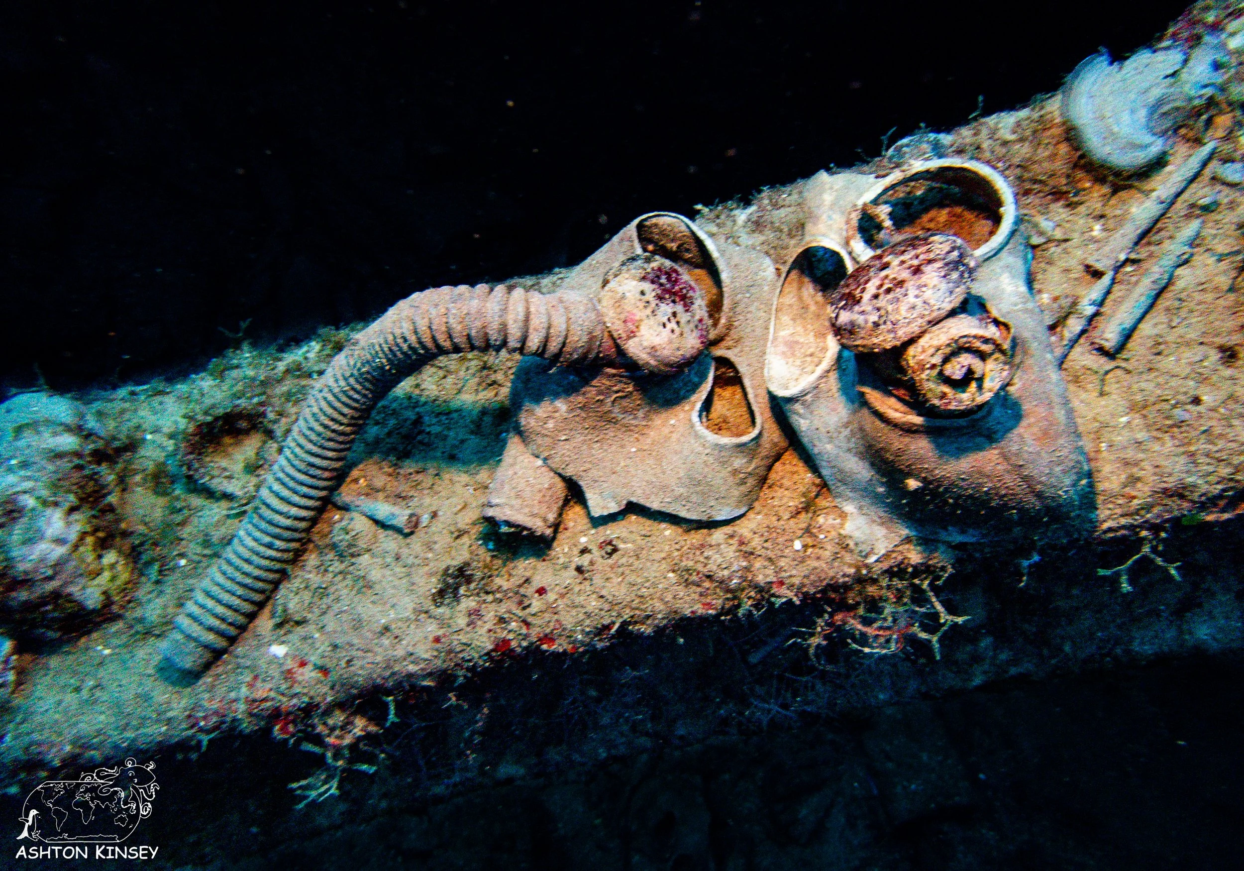 Nippo Maru-10.jpg