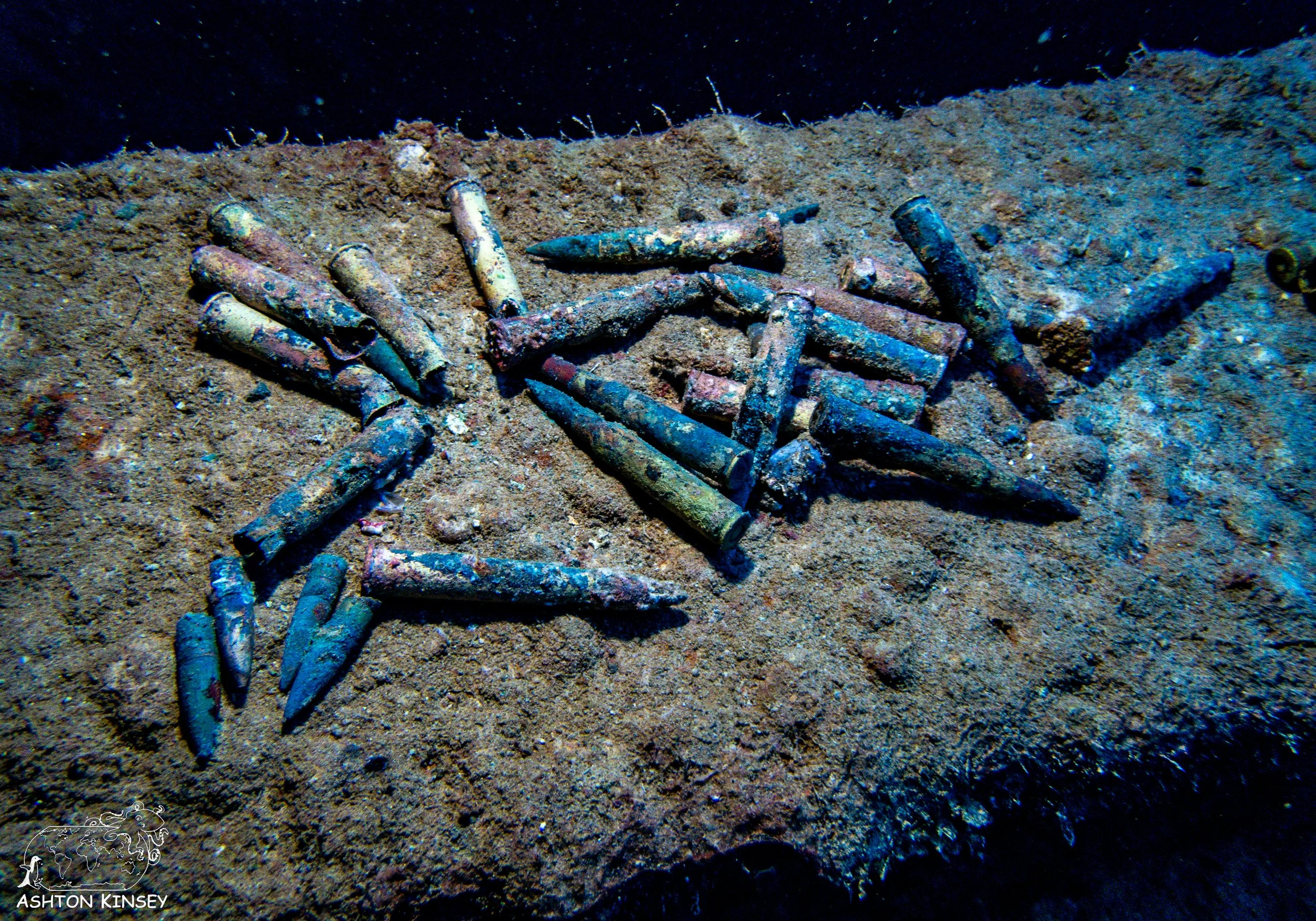 Nippo Maru-11.jpg