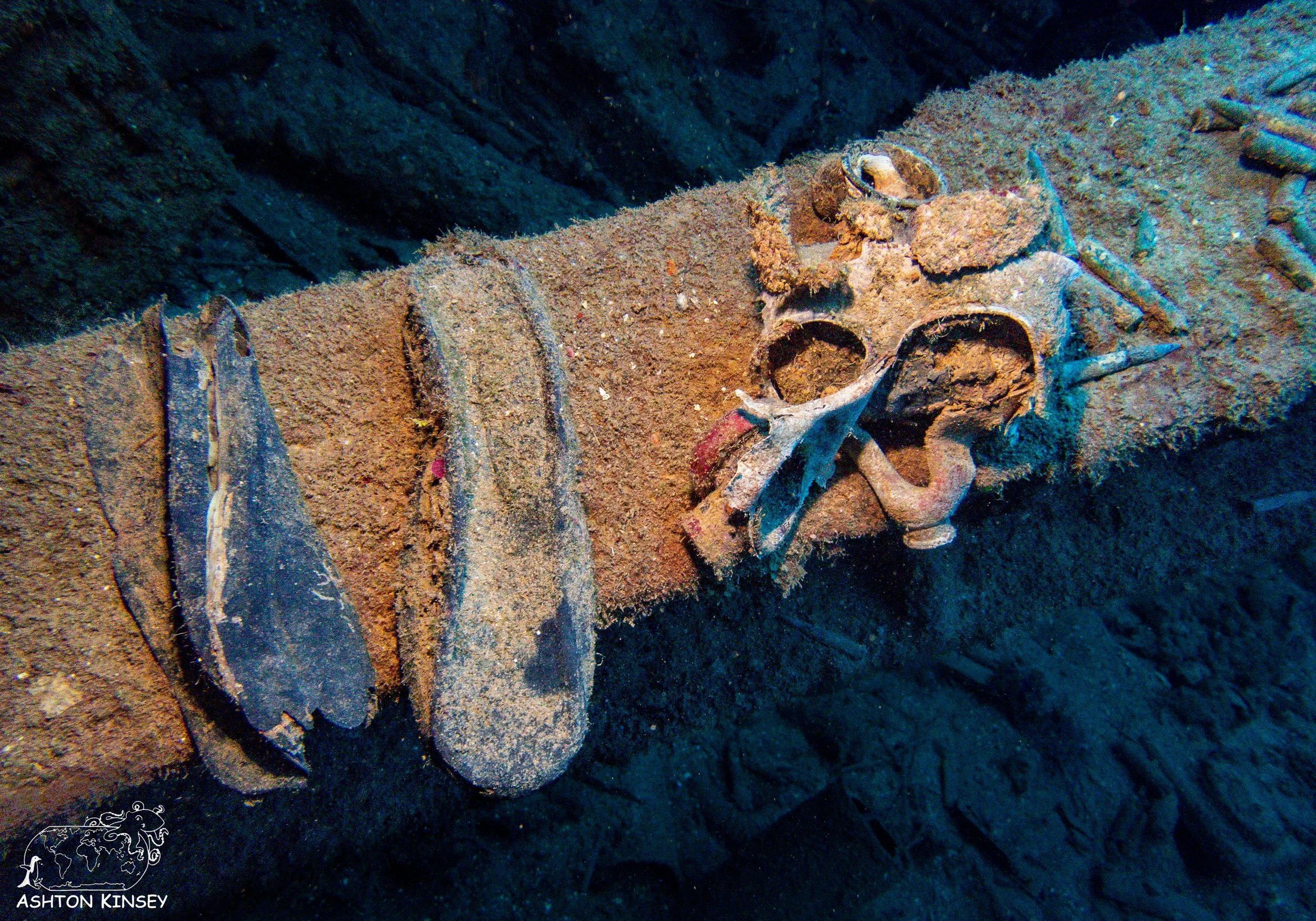 Nippo Maru-13.jpg