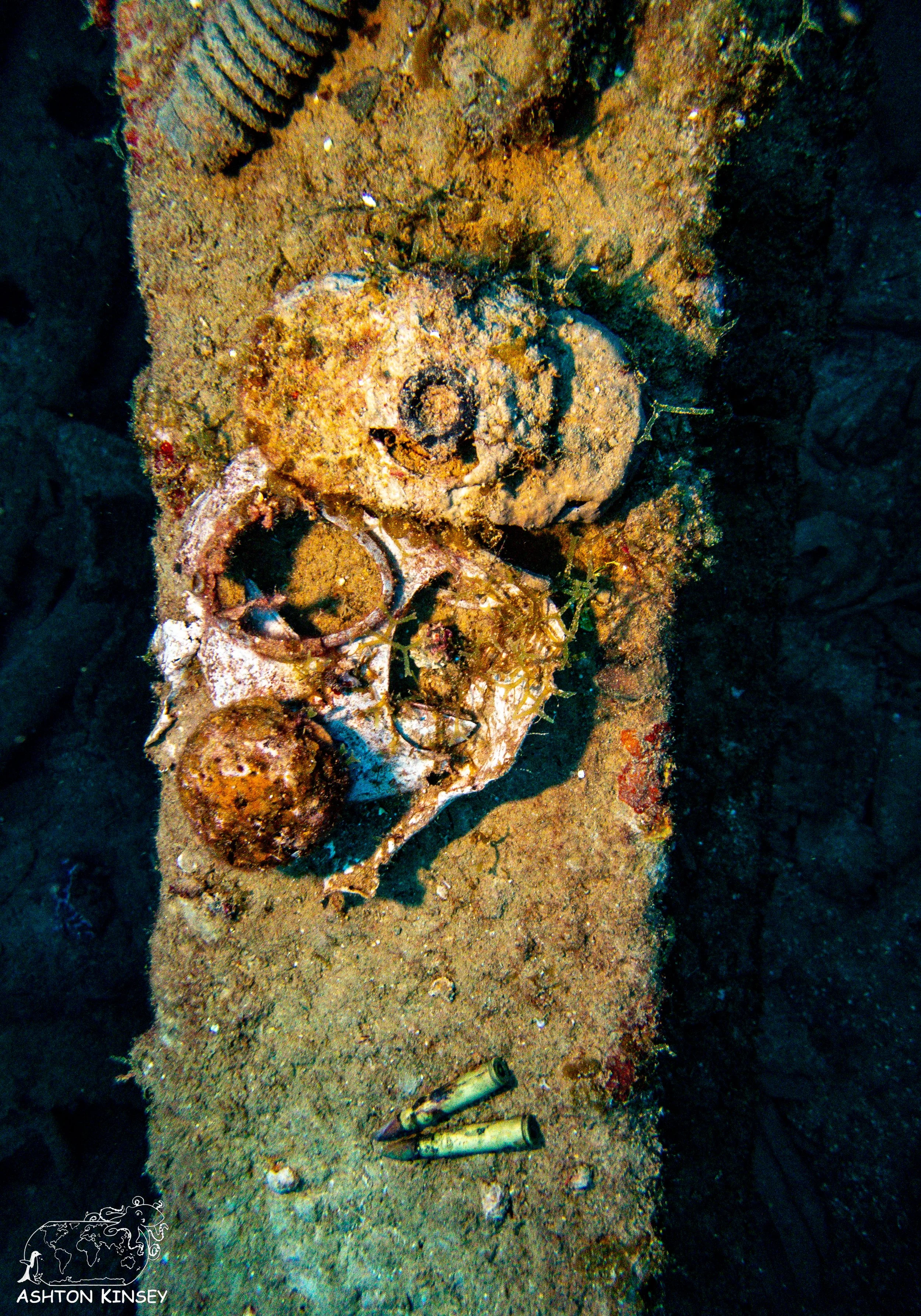 Nippo Maru-14.jpg