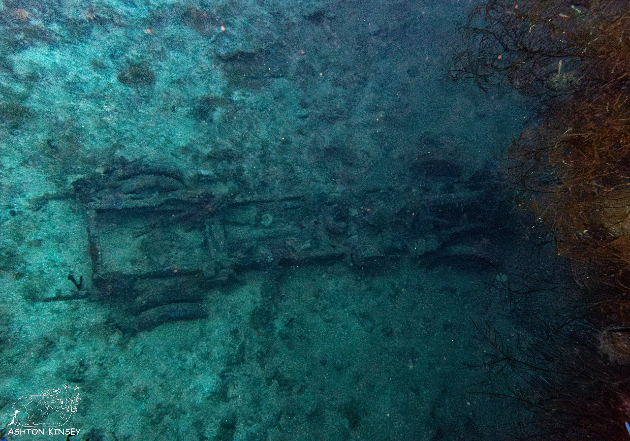 Nippo Maru-15.jpg
