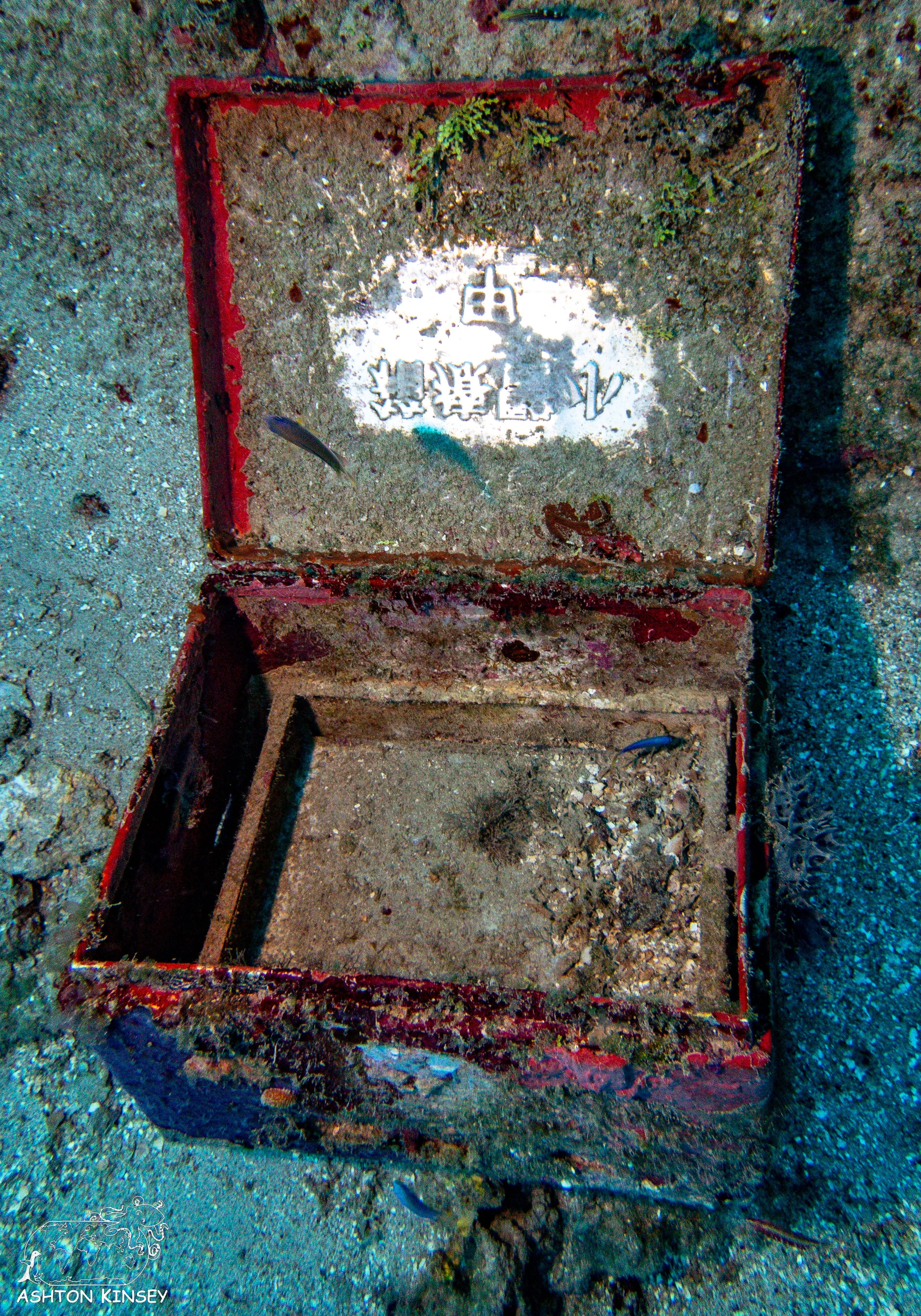Nippo Maru-17.jpg