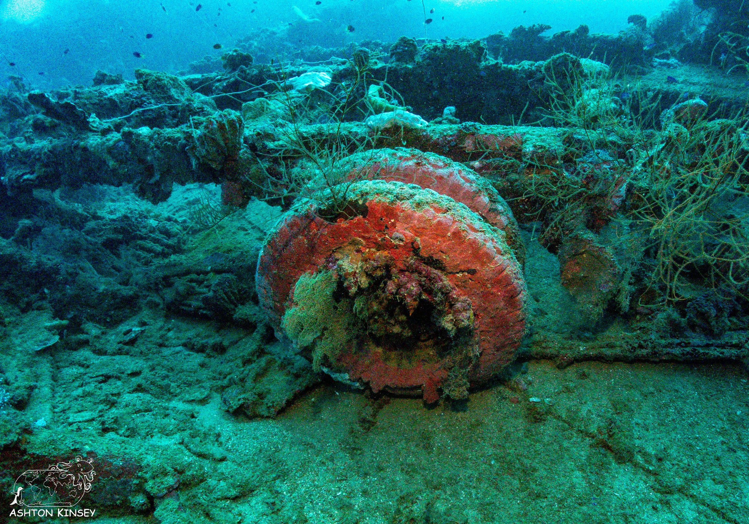 Nippo Maru-16.jpg
