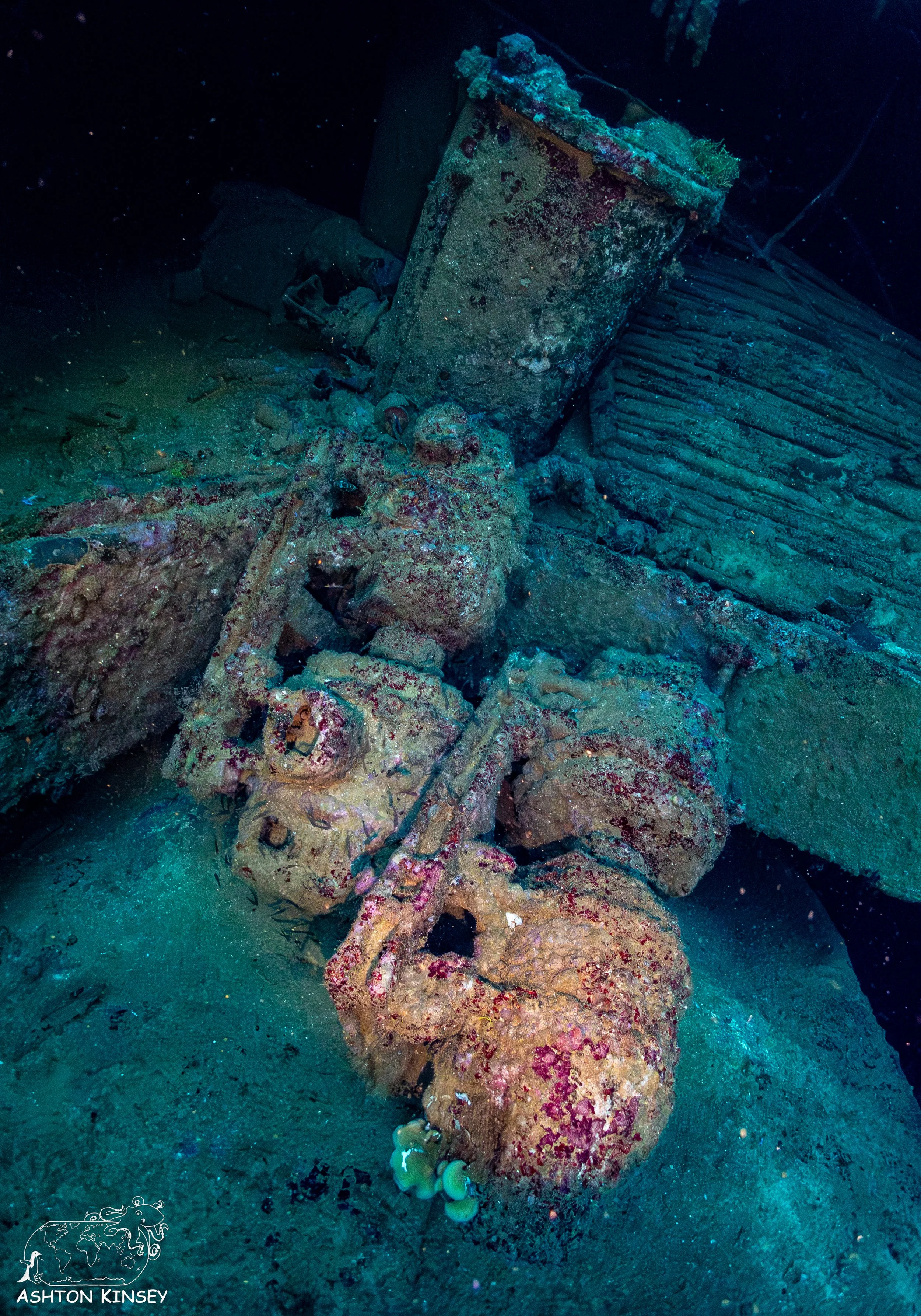 Nippo Maru-19.jpg