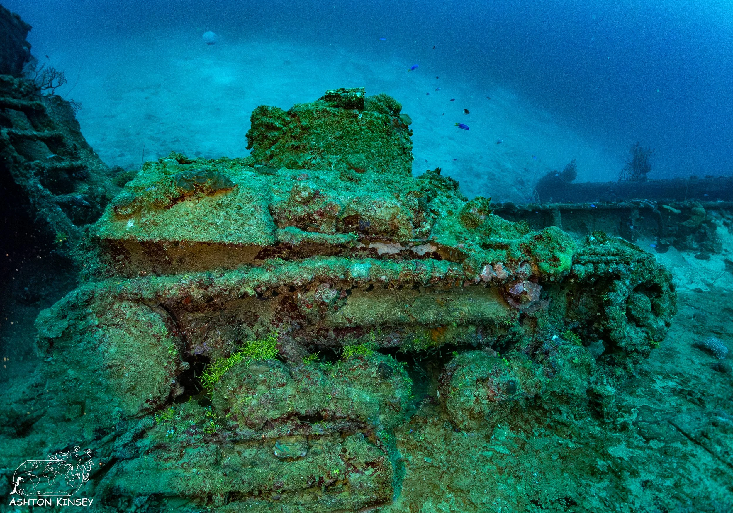 Nippo Maru-18.jpg