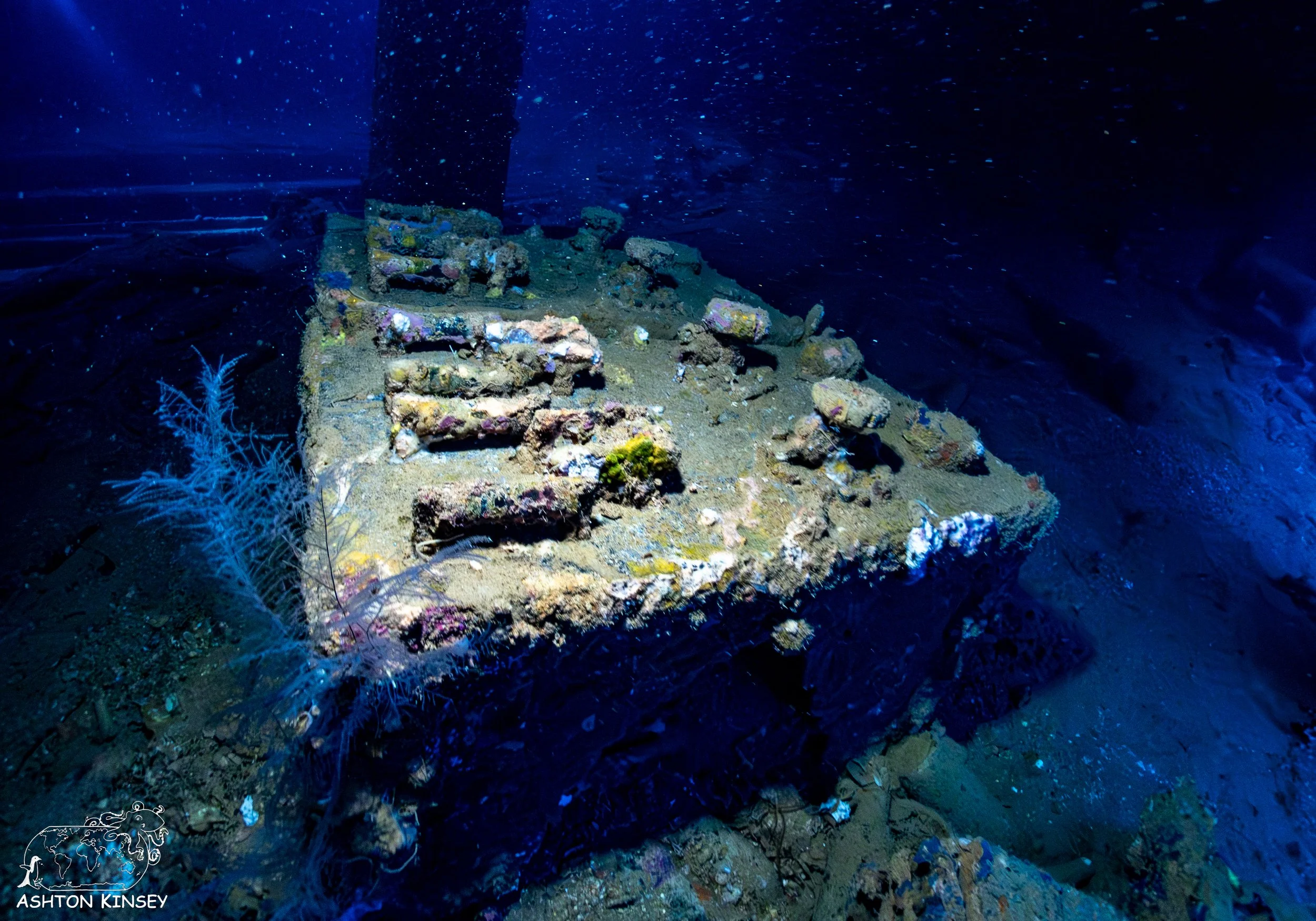 Nippo Maru-20.jpg