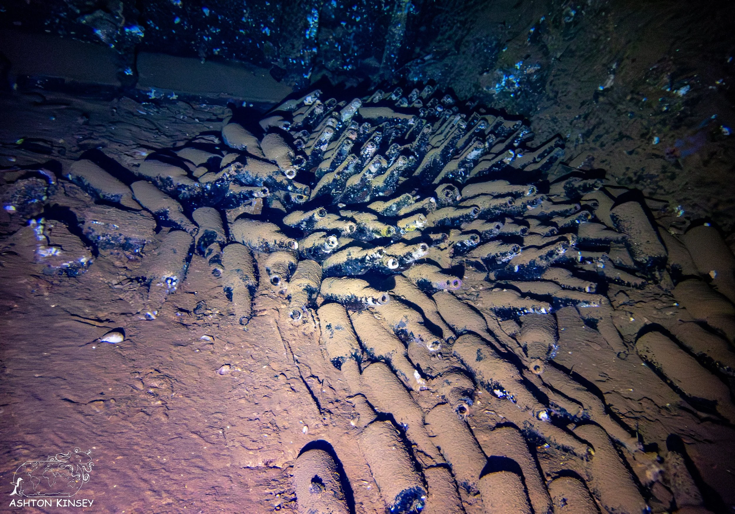 Nippo Maru-22.jpg
