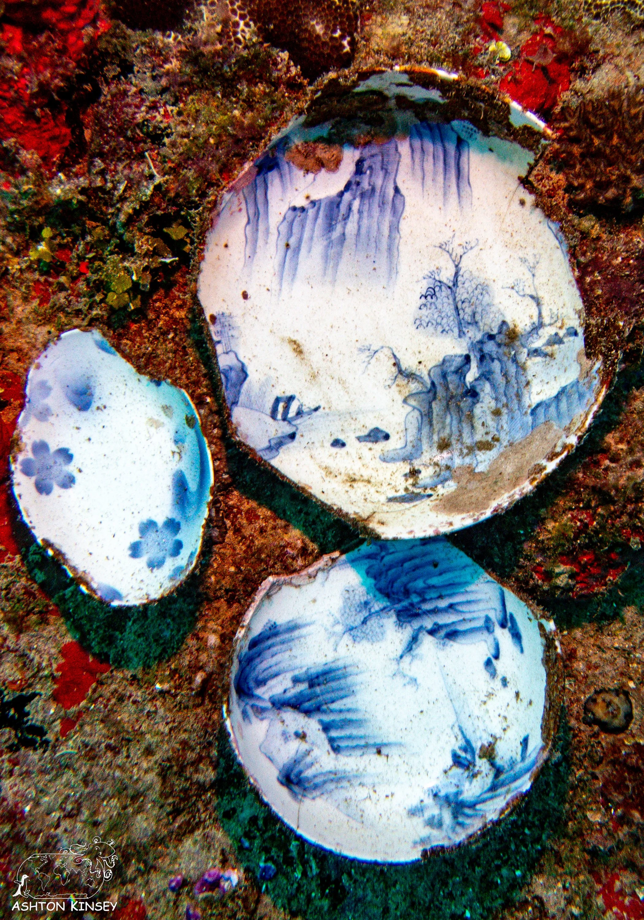 Nippo Maru-23.jpg