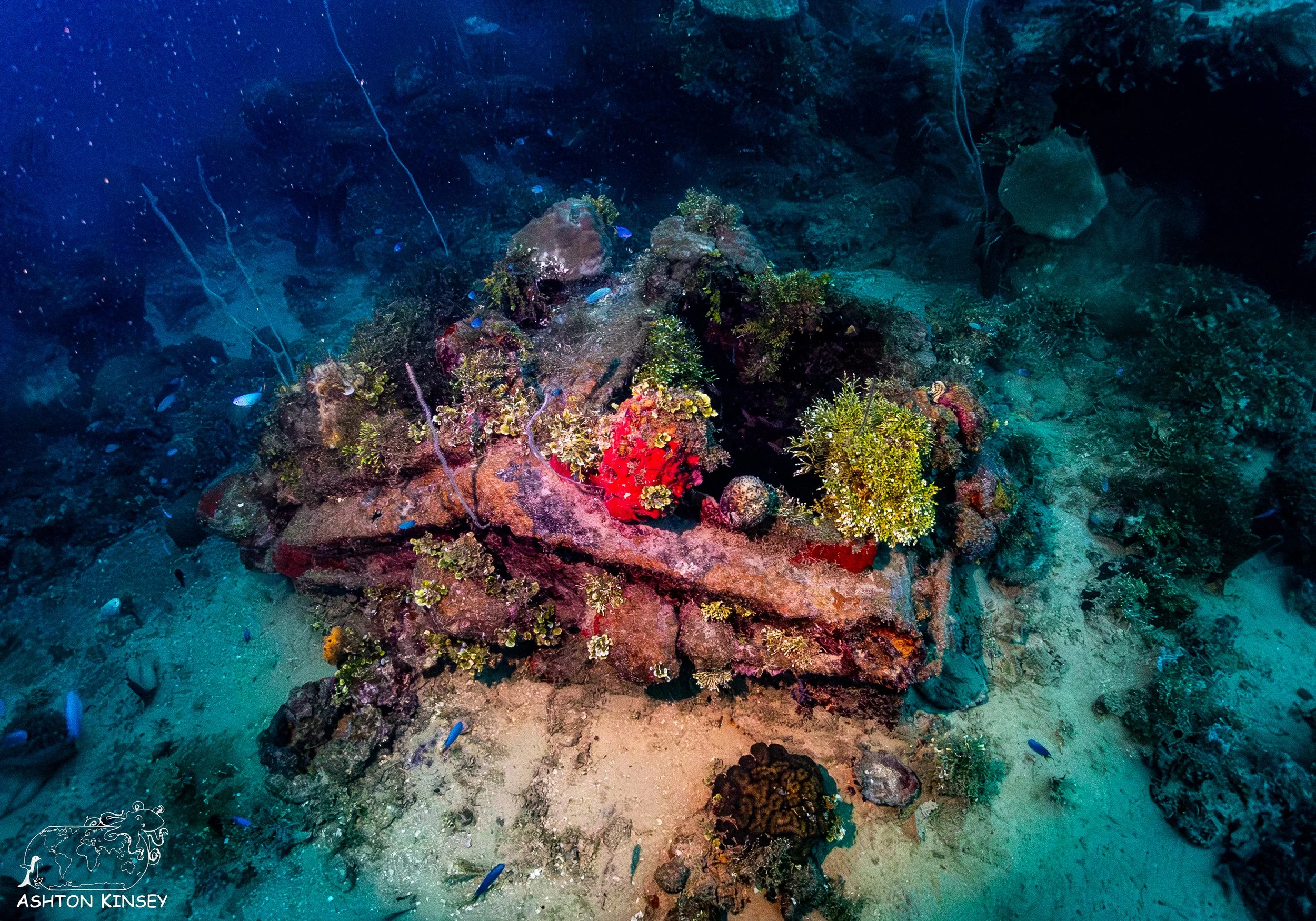 kensho maru-67.jpg