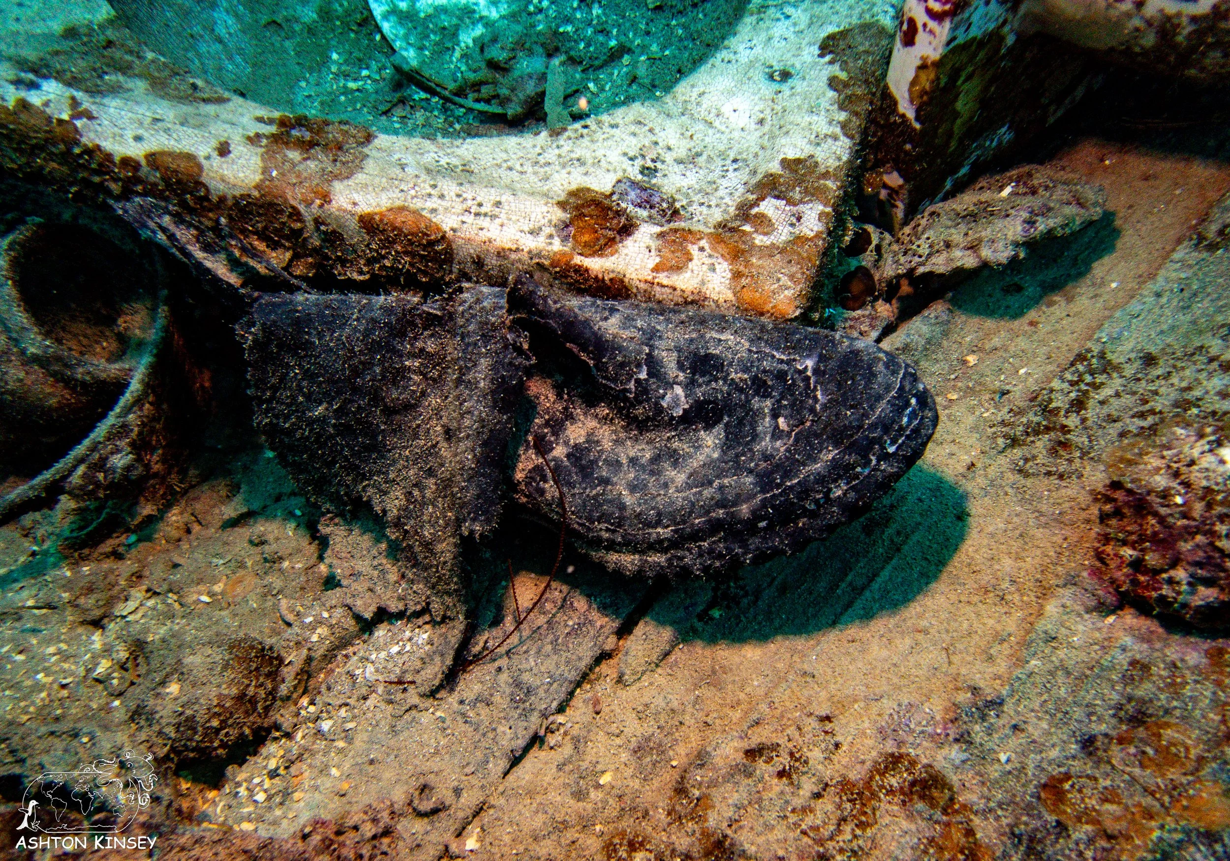 kensho maru-31.jpg