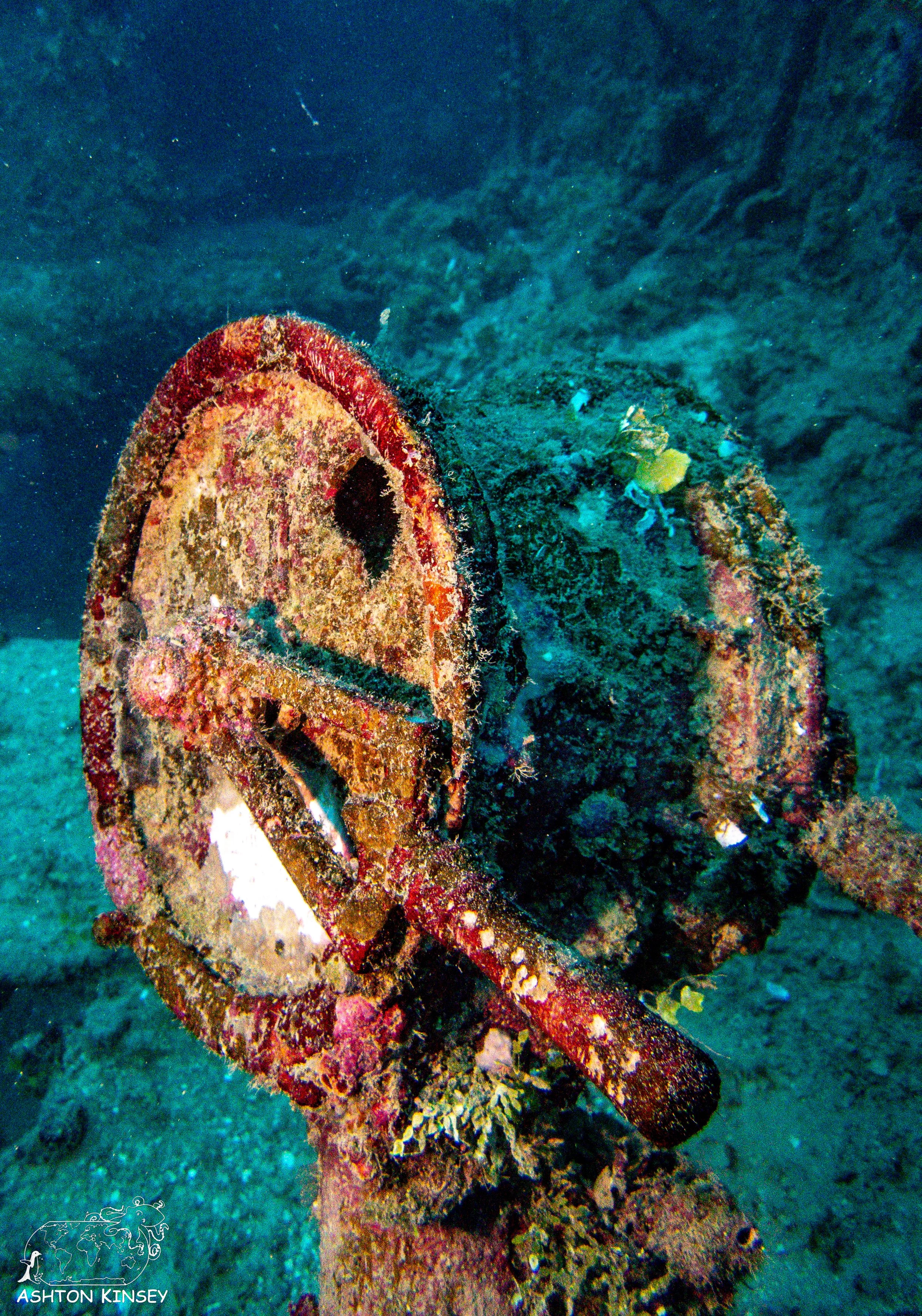 kensho maru-33.jpg
