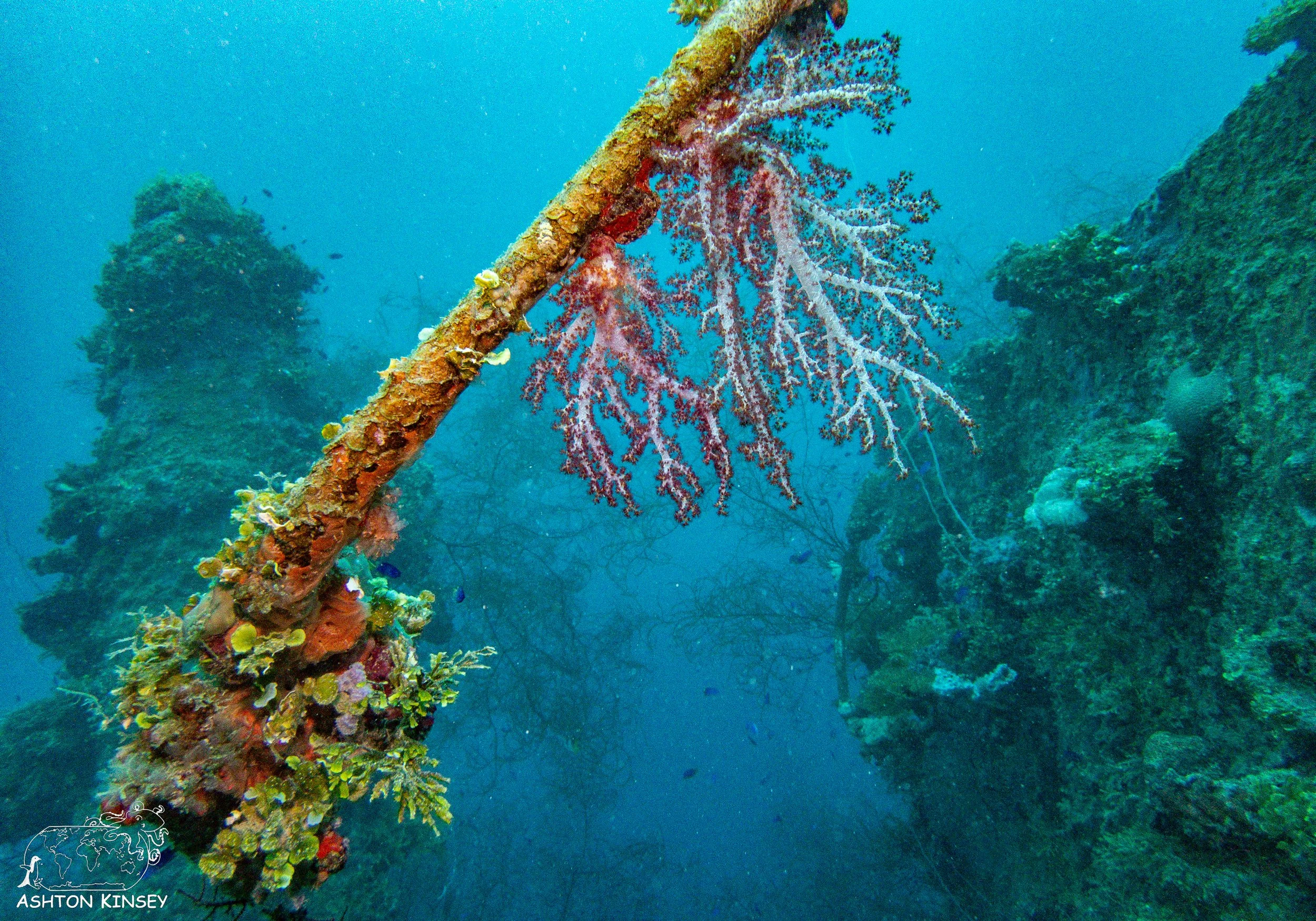 kensho maru-35.jpg