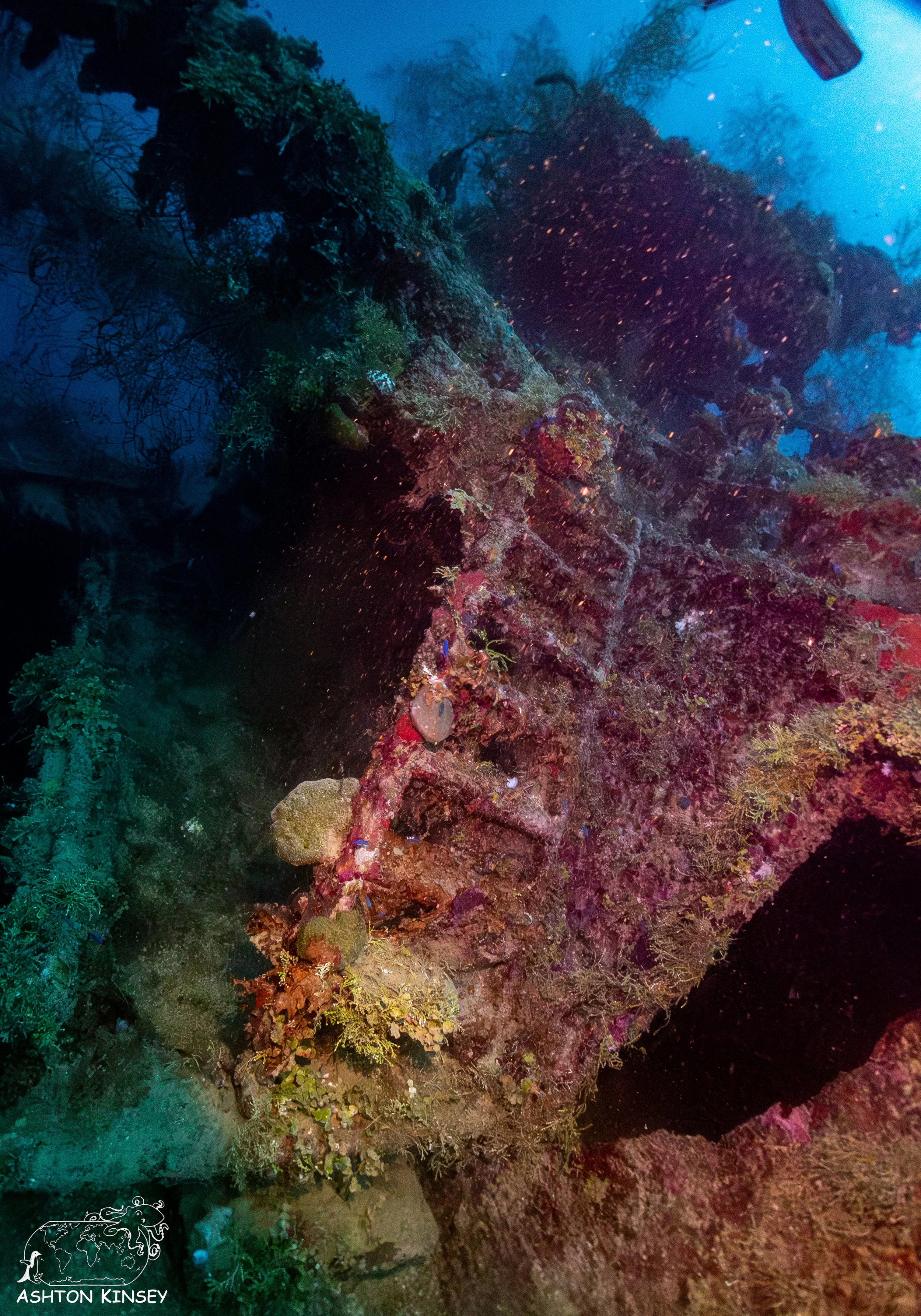 kensho maru-41.jpg