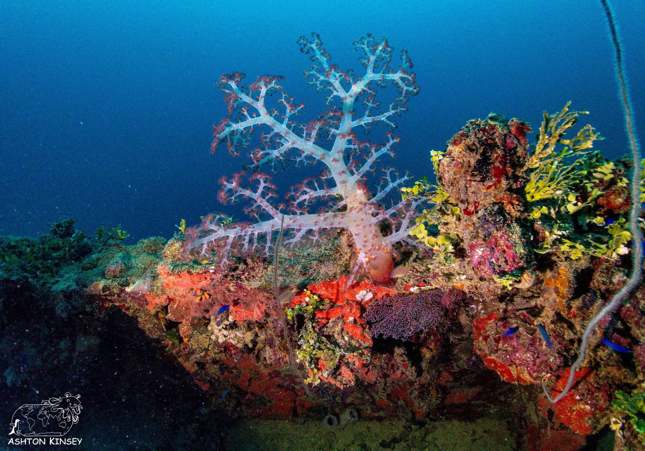 kensho maru-45.jpg