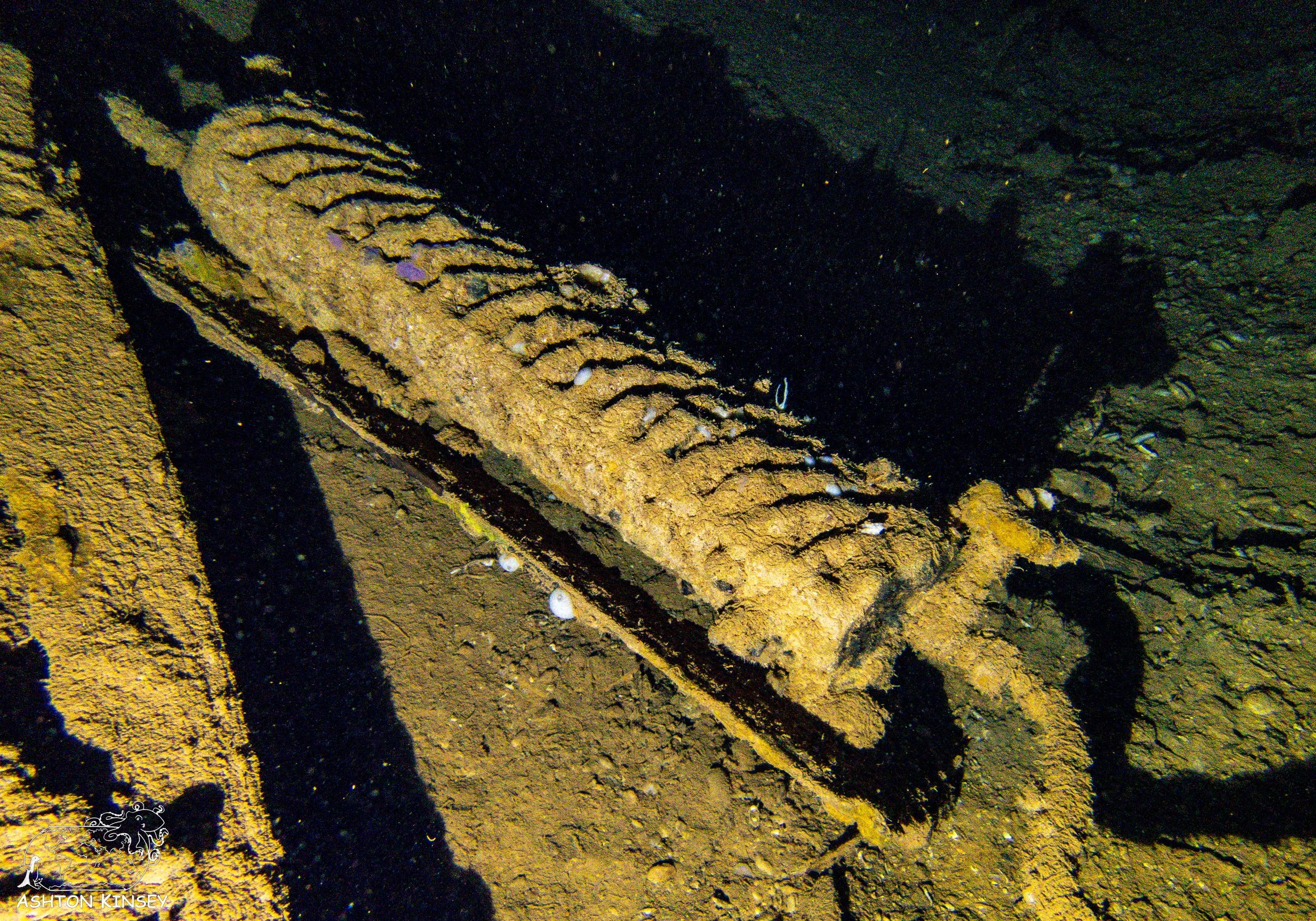 kensho maru-50.jpg