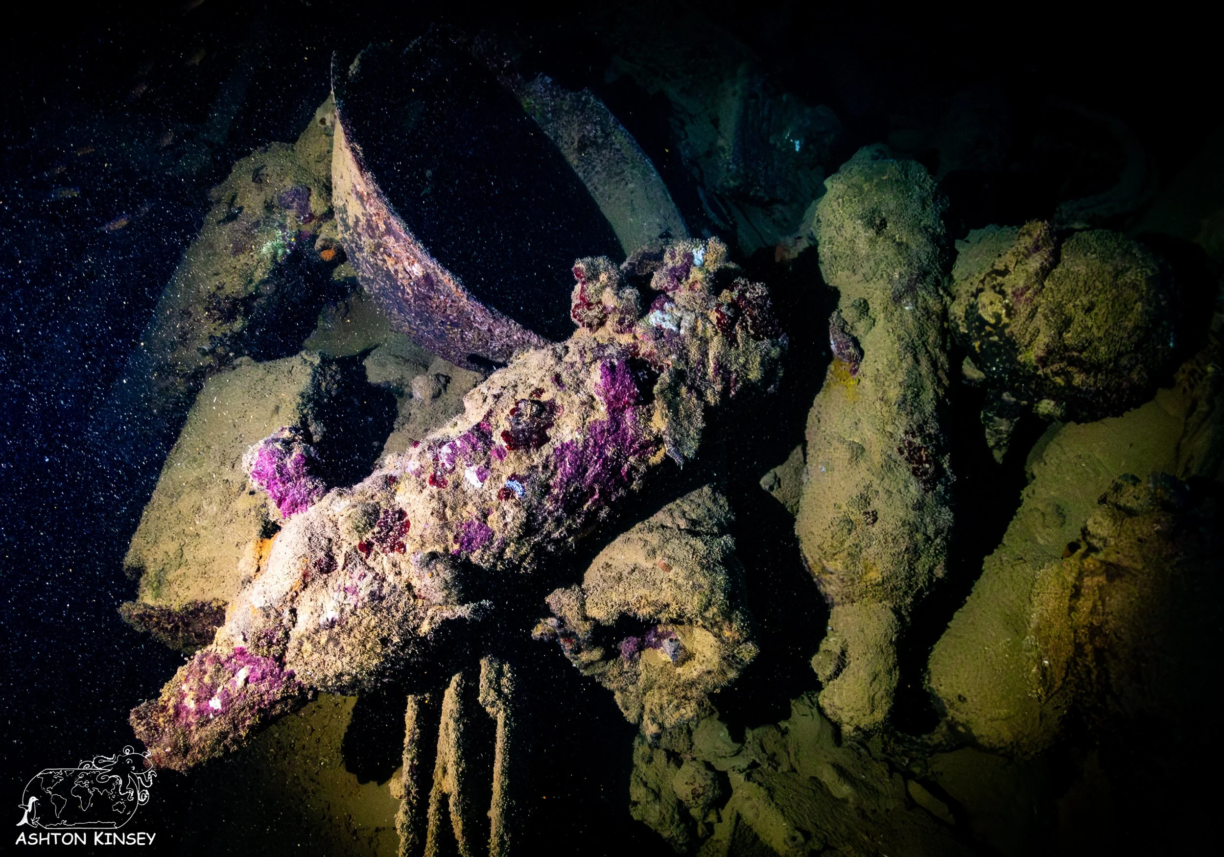 kensho maru-65.jpg