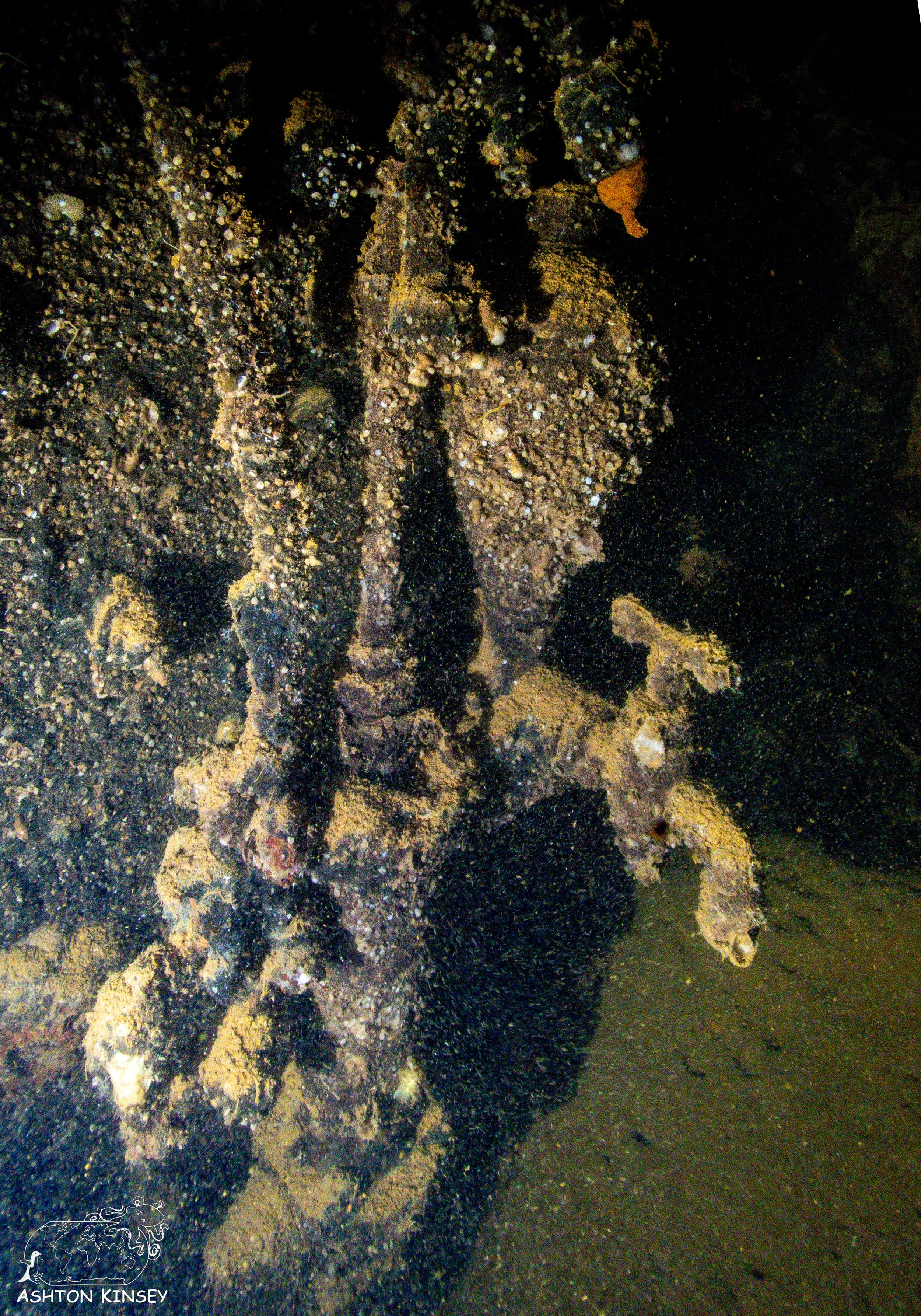 kensho maru-59.jpg