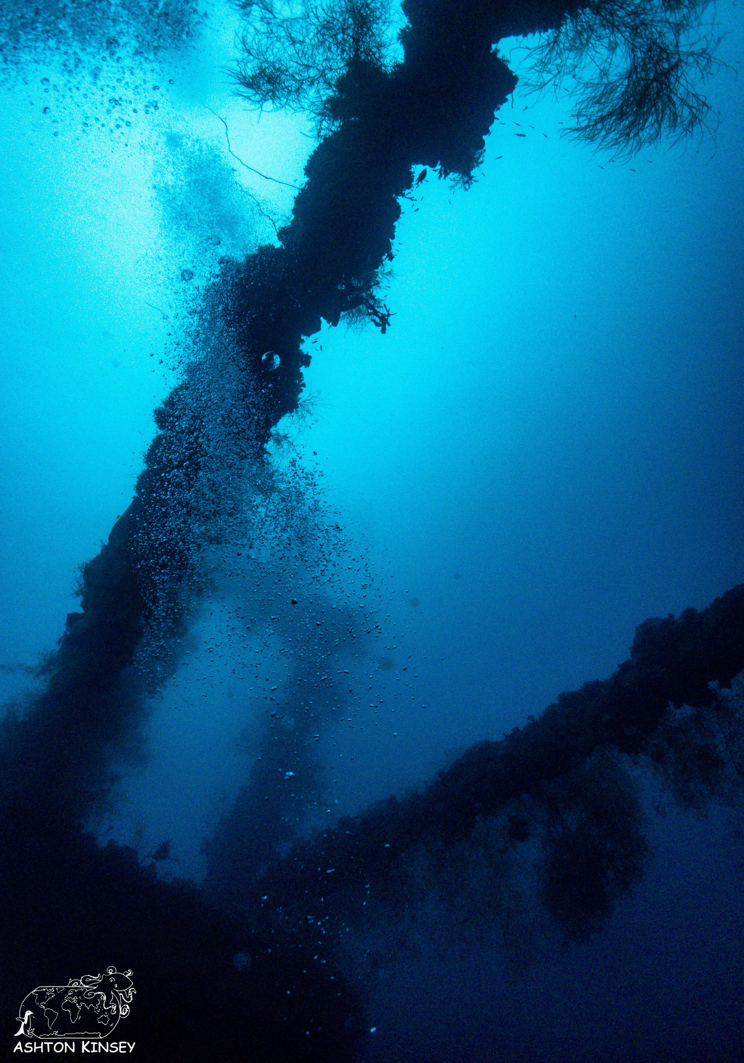 kensho maru-61.jpg