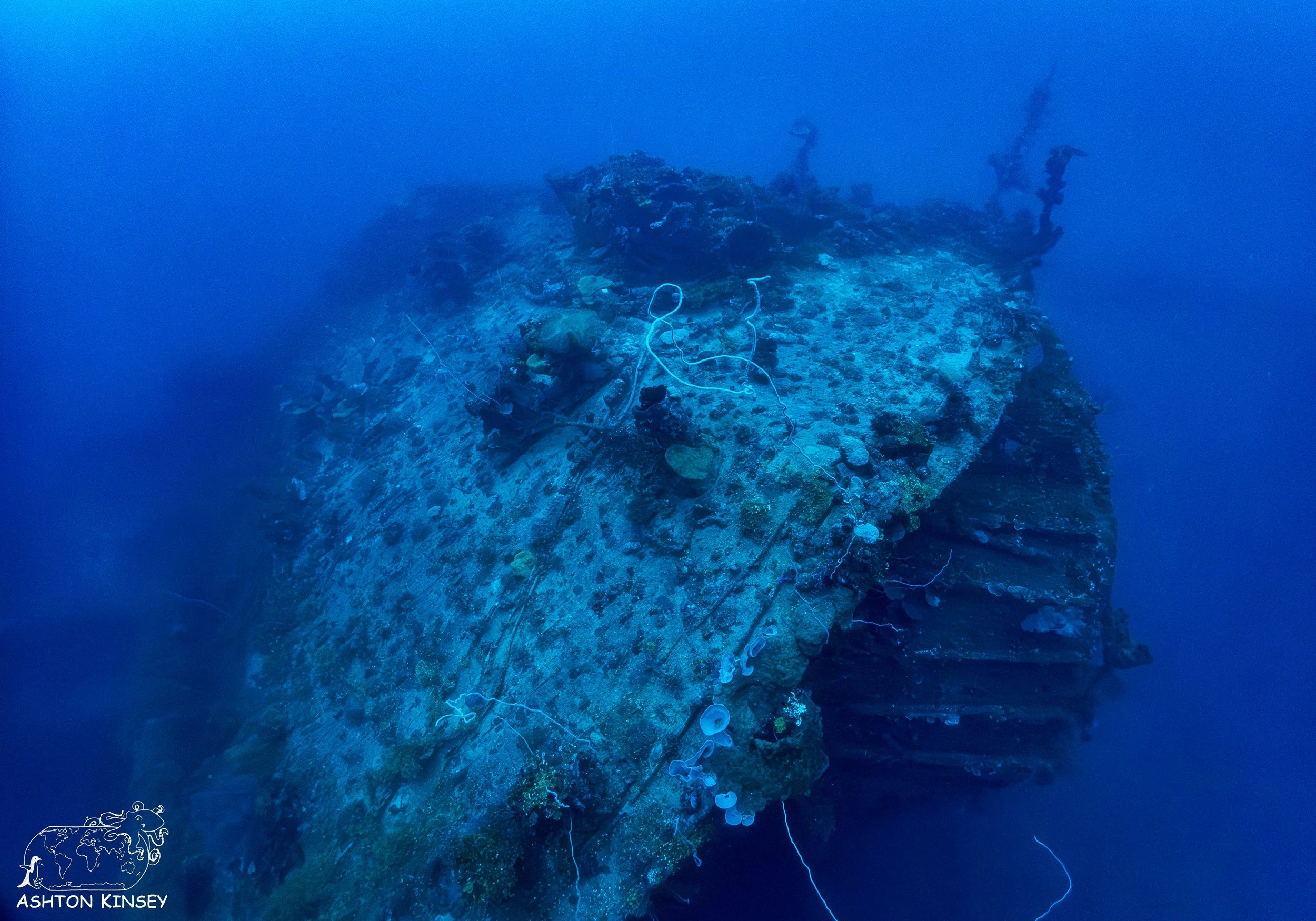 Hoki Maru-19.jpg