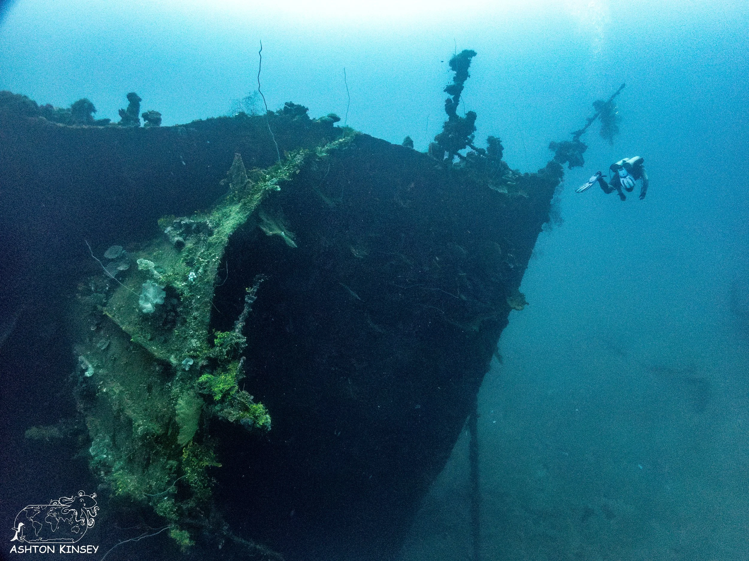 Hoki Maru-20.jpg