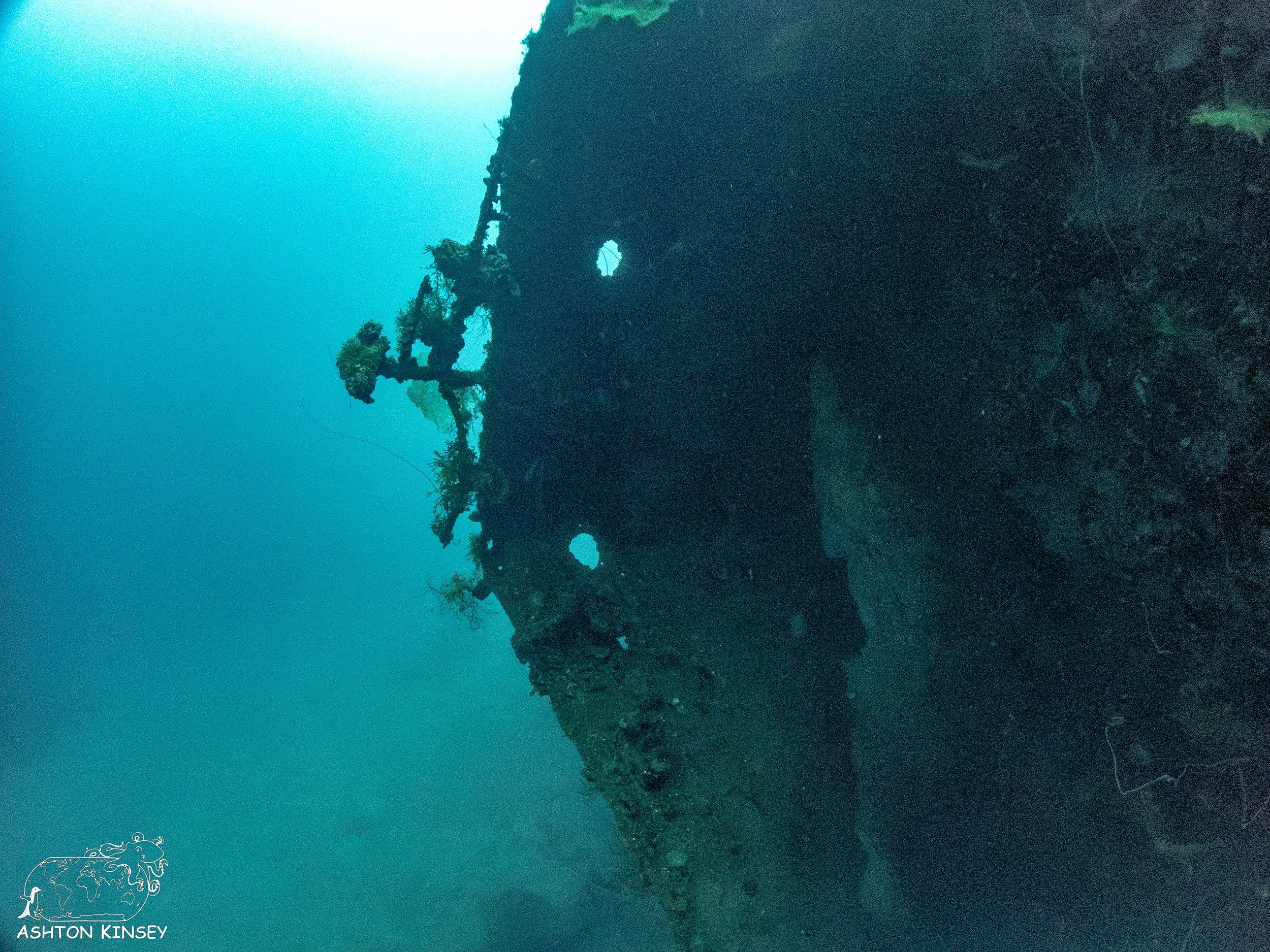 Hoki Maru-21.jpg