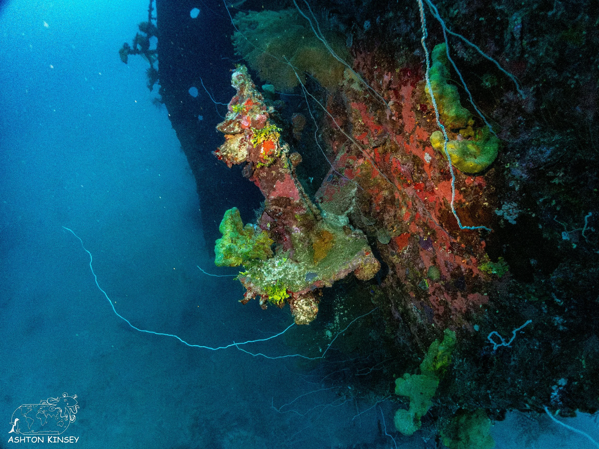 Hoki Maru-22.jpg