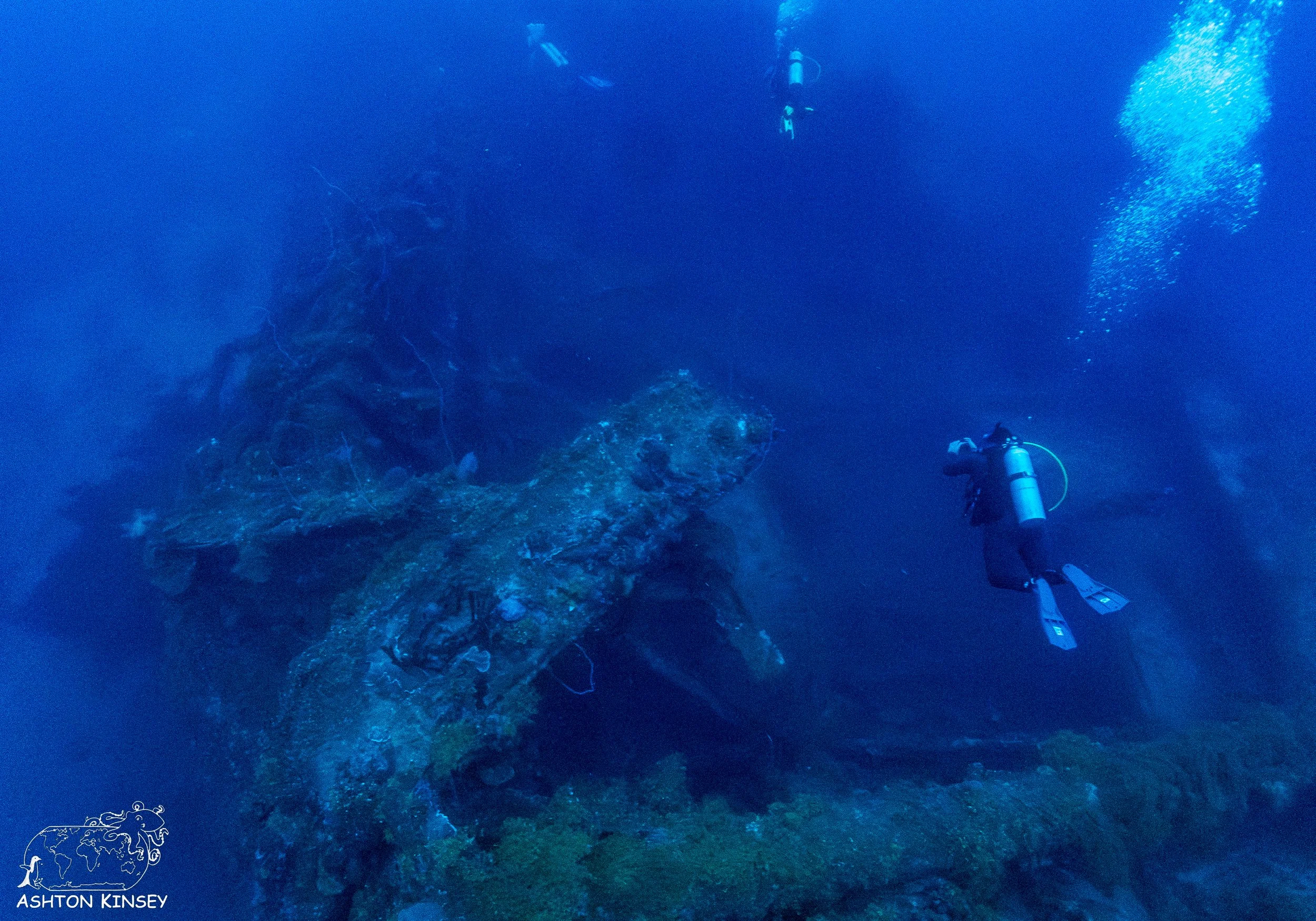 Hoki Maru-24.jpg