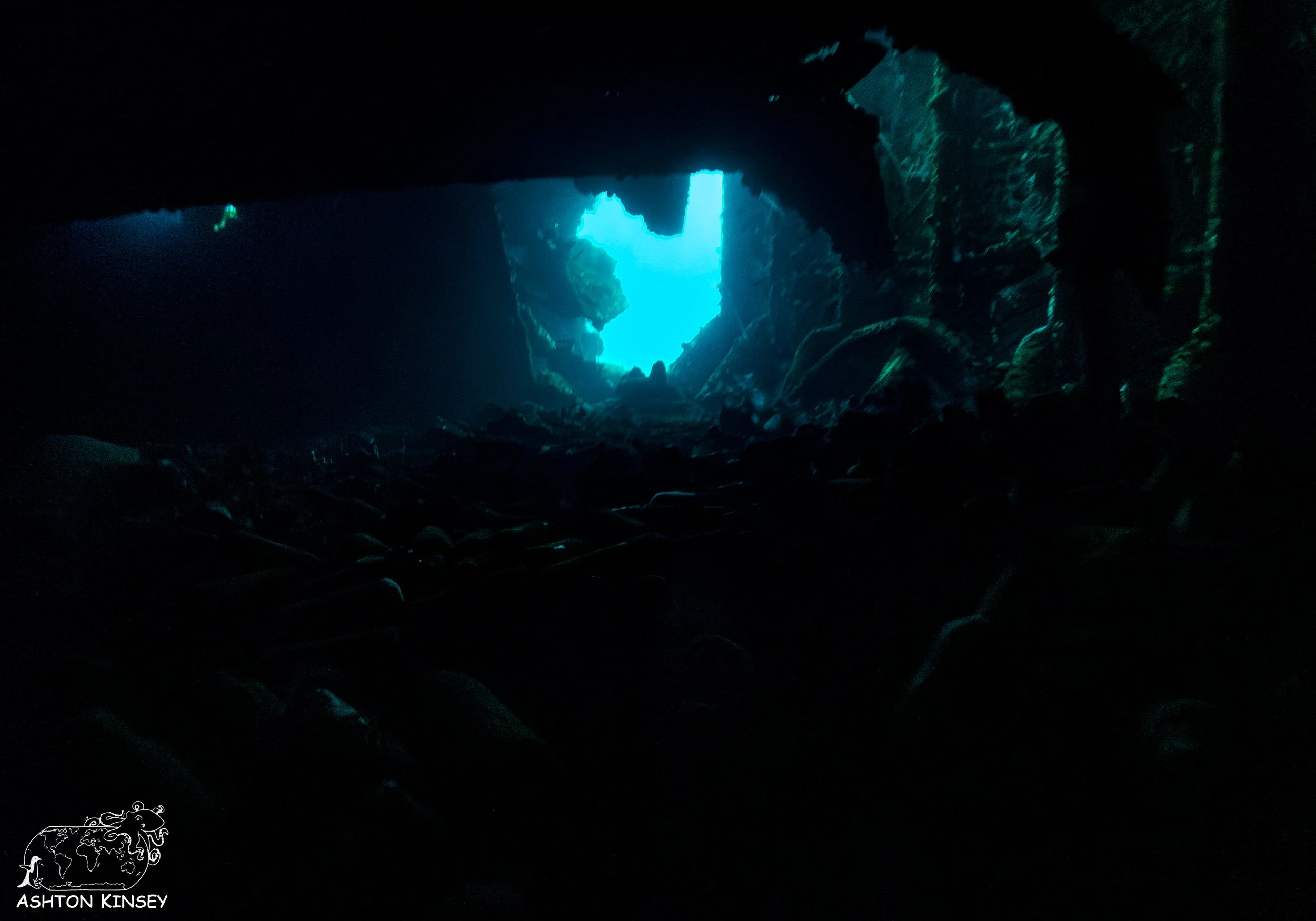 Hoki Maru-31.jpg