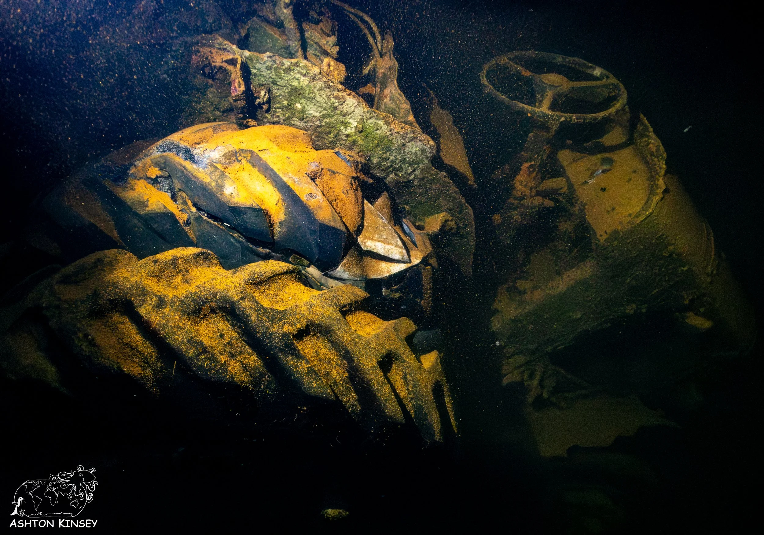 Hoki Maru-1.jpg