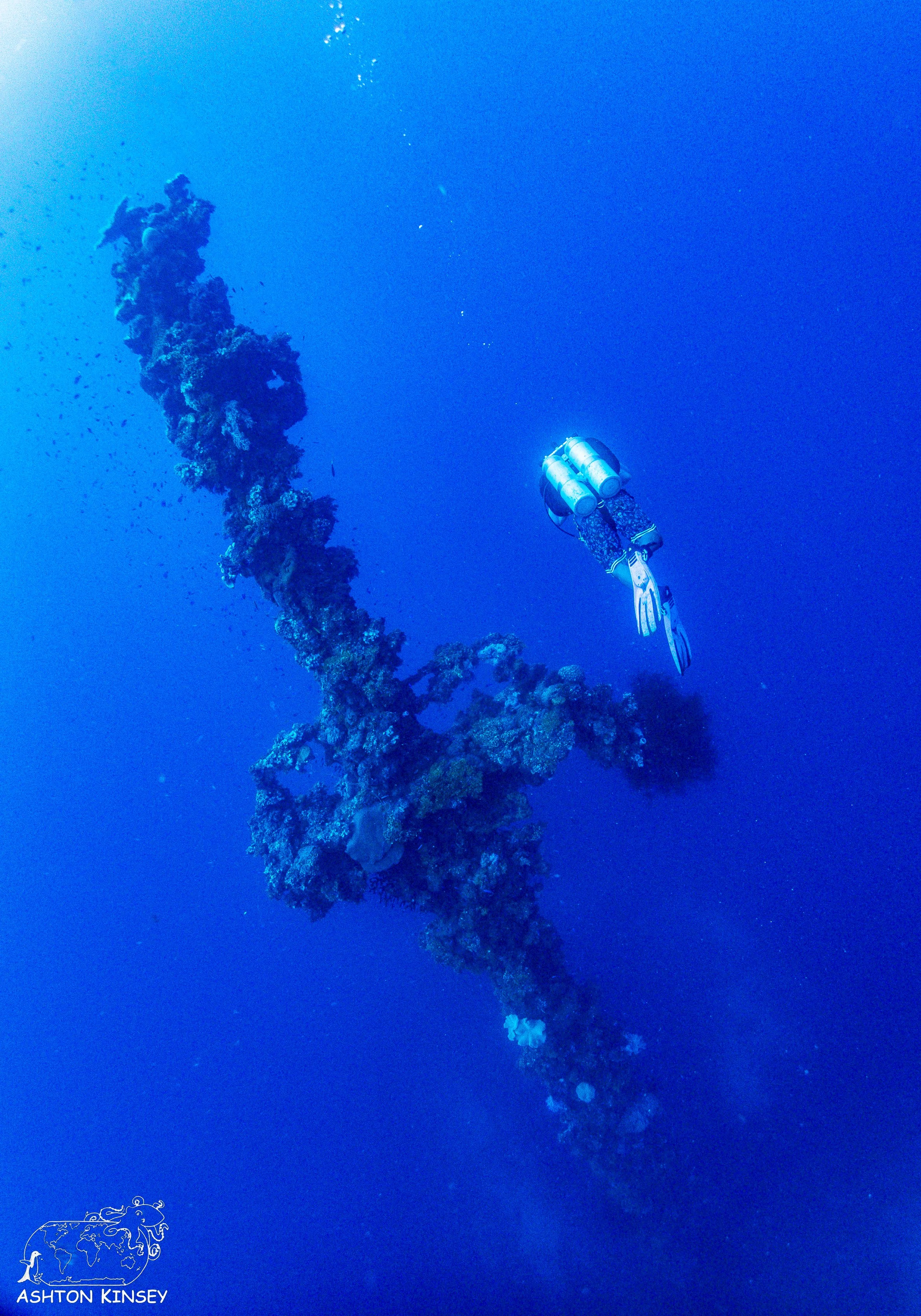Hoki Maru.jpg
