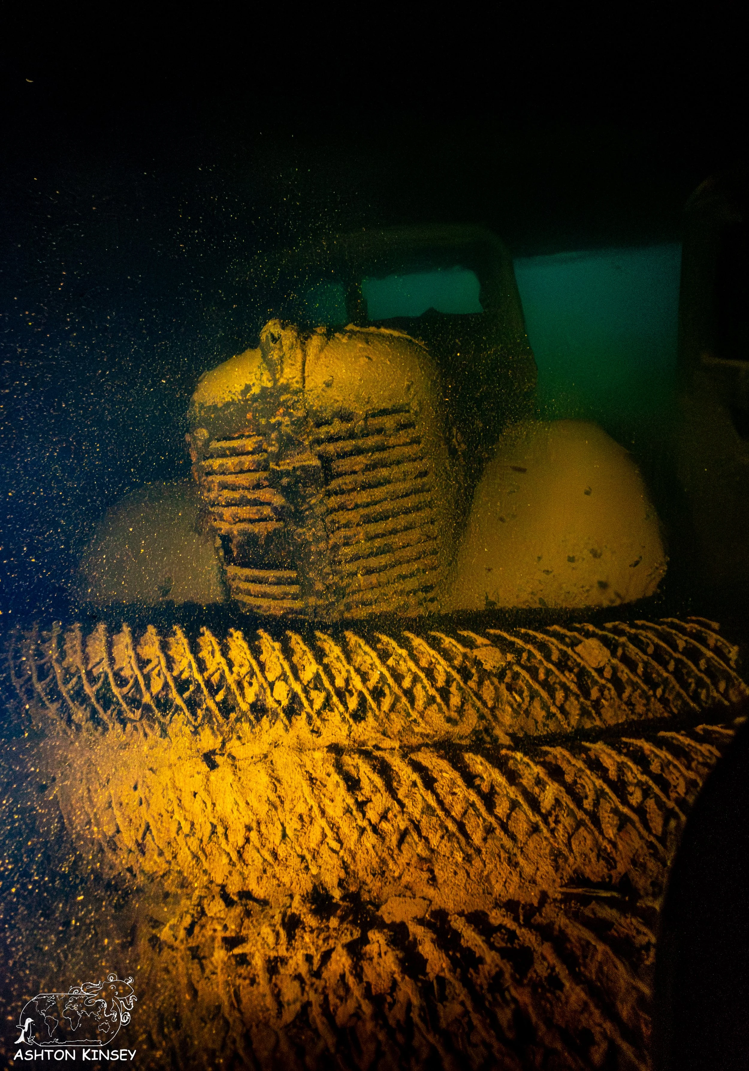 Hoki Maru-3.jpg