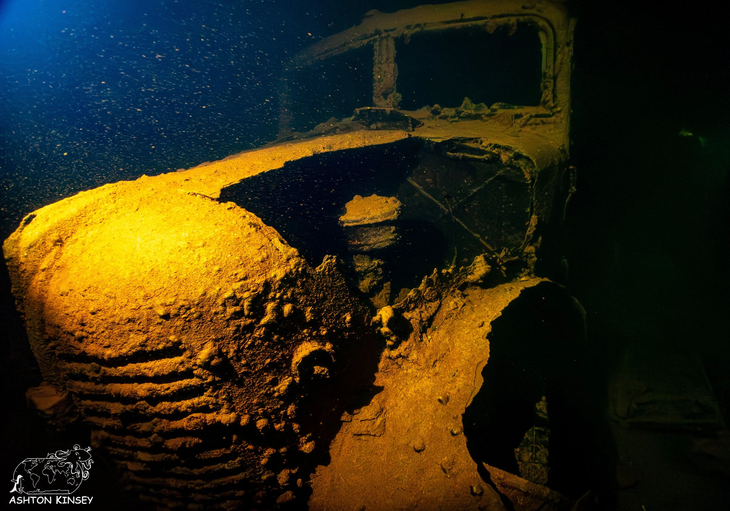 Hoki Maru-4.jpg