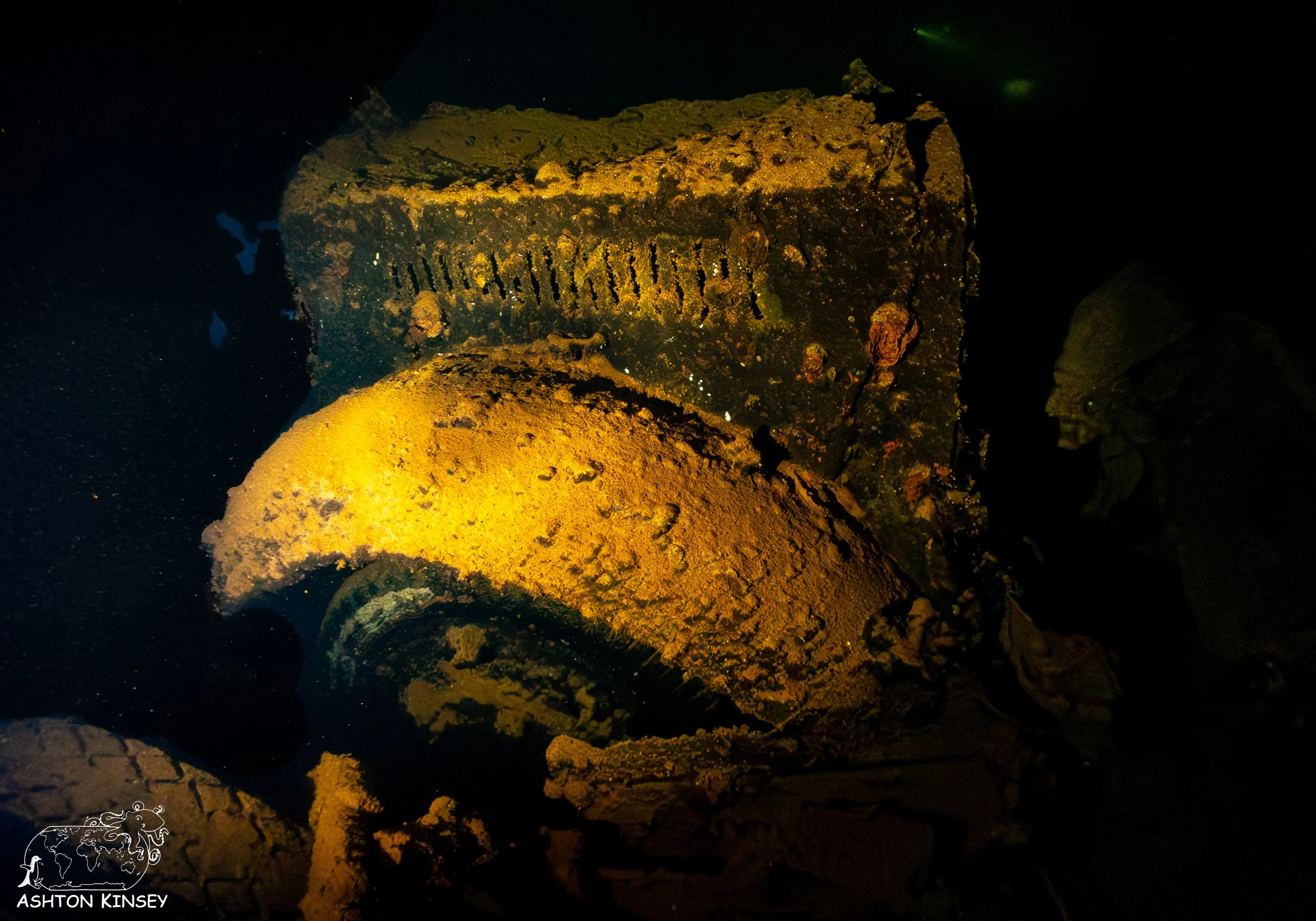 Hoki Maru-6.jpg