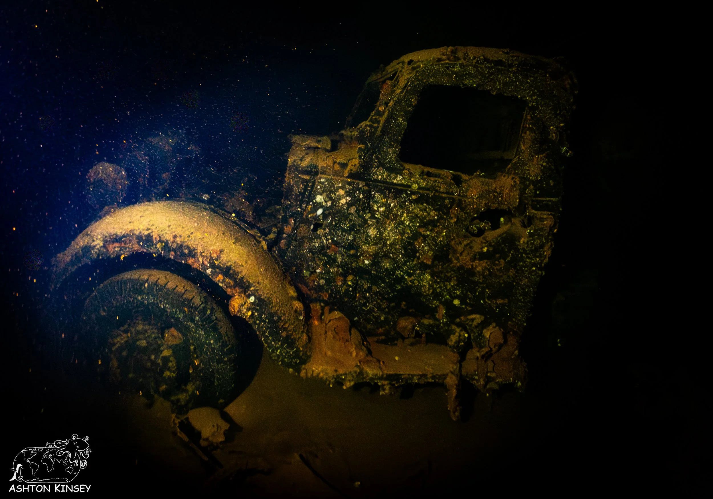 Hoki Maru-7.jpg